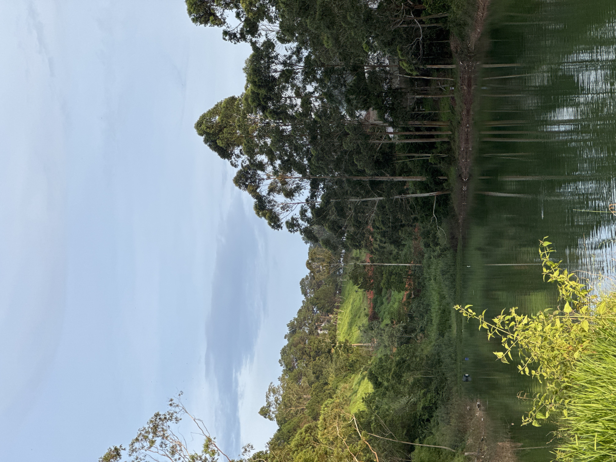A landscape features a lake with reflections of tall trees along its edge. The sky is overcast. Lush green vegetation covers a hillside that descends towards the water. The location is Da Lat, Vietnam.