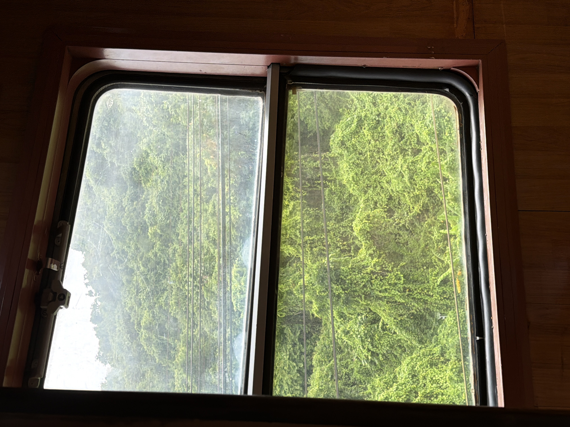 This is a medium shot of a train window, looking out at a densely vegetated hillside. The window is divided into two panes by a horizontal bar. The top pane is slightly fogged, obscuring the view beyond, which appears to be a lighter sky and distant trees. The bottom pane offers a clearer view of a vibrant green hillside covered in thick foliage, possibly vines or dense trees. Several horizontal wires, possibly power or telephone lines, are visible across the view in both panes. The interior of the train is visible around the window, with wooden paneling on the right and left sides. The window frame is a reddish-brown color, and there is a silver latch mechanism at the top of the upper pane. The scene appears to be from a train traveling through a lush, natural environment. While the image does not directly show the city of Hải Vân Ward, Vietnam, the dense vegetation and potential for train travel suggest a location within or near a mountainous or hilly region of Vietnam, where such scenery is common.