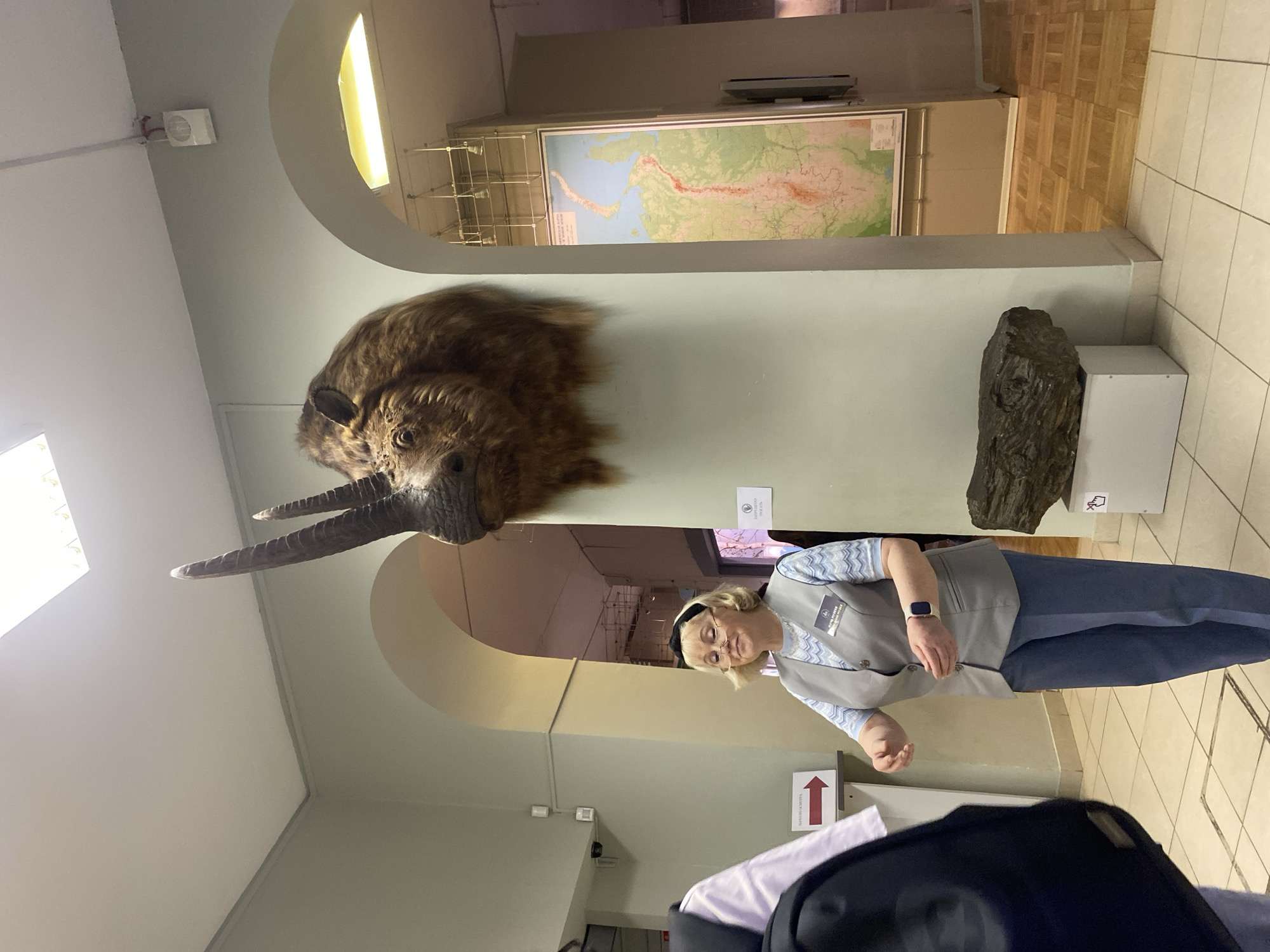 A museum exhibit is shown. A mounted stuffed animal head with large horns is on the wall near a woman in a light-blue shirt, a gray vest, and blue pants. A map is mounted on the wall above. The scene is inside a building. The location is likely the Yekaterinburg, Russia history museum. The woman is likely a museum employee explaining the exhibit. A black bag is in the foreground.