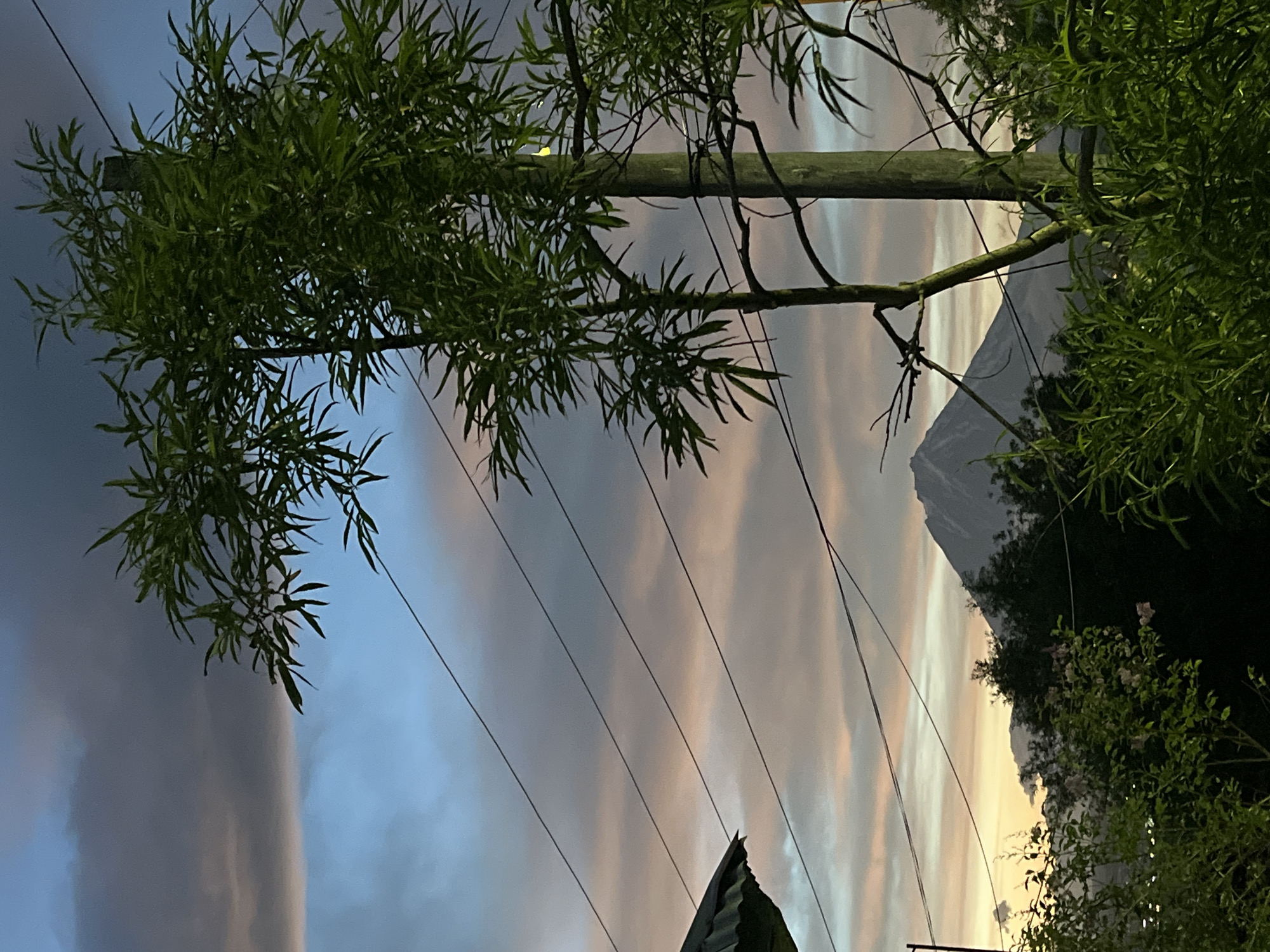 The image depicts a twilight scene with a conical mountain, likely the Avachinsky volcano, visible in the distance. The sky is a gradient of dark blue, grey, and pinkish hues, with clouds obscuring some of the upper atmosphere. Several power lines crisscross the frame, intersecting with a tall wooden utility pole. In the foreground, lush green foliage and tree branches with long, slender leaves dominate the lower and right portions of the image. To the far left, a portion of a dark, sloped roof structure is visible. The overall impression is one of a rural or semi-rural setting at dusk, with a prominent natural landmark. The scene is devoid of any human presence.