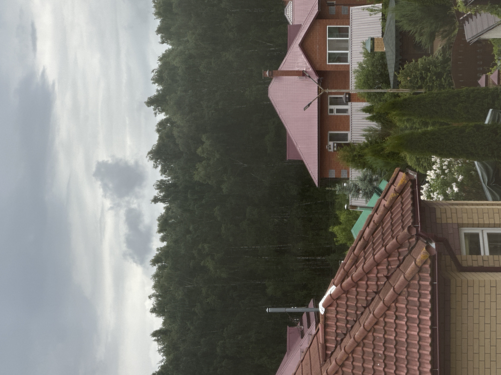 A slightly high-angle, landscape-oriented shot shows houses in Ореховка, Russia, under a cloudy, overcast sky. A dense, green forest lines the left side of the frame. The houses are made of brick and have red-tiled roofs. The houses vary in size and architectural style. Some have gabled roofs, while others have dormers. The yards are landscaped with trees and shrubs. The houses appear to be relatively well-maintained. The overall scene suggests a peaceful, residential area.