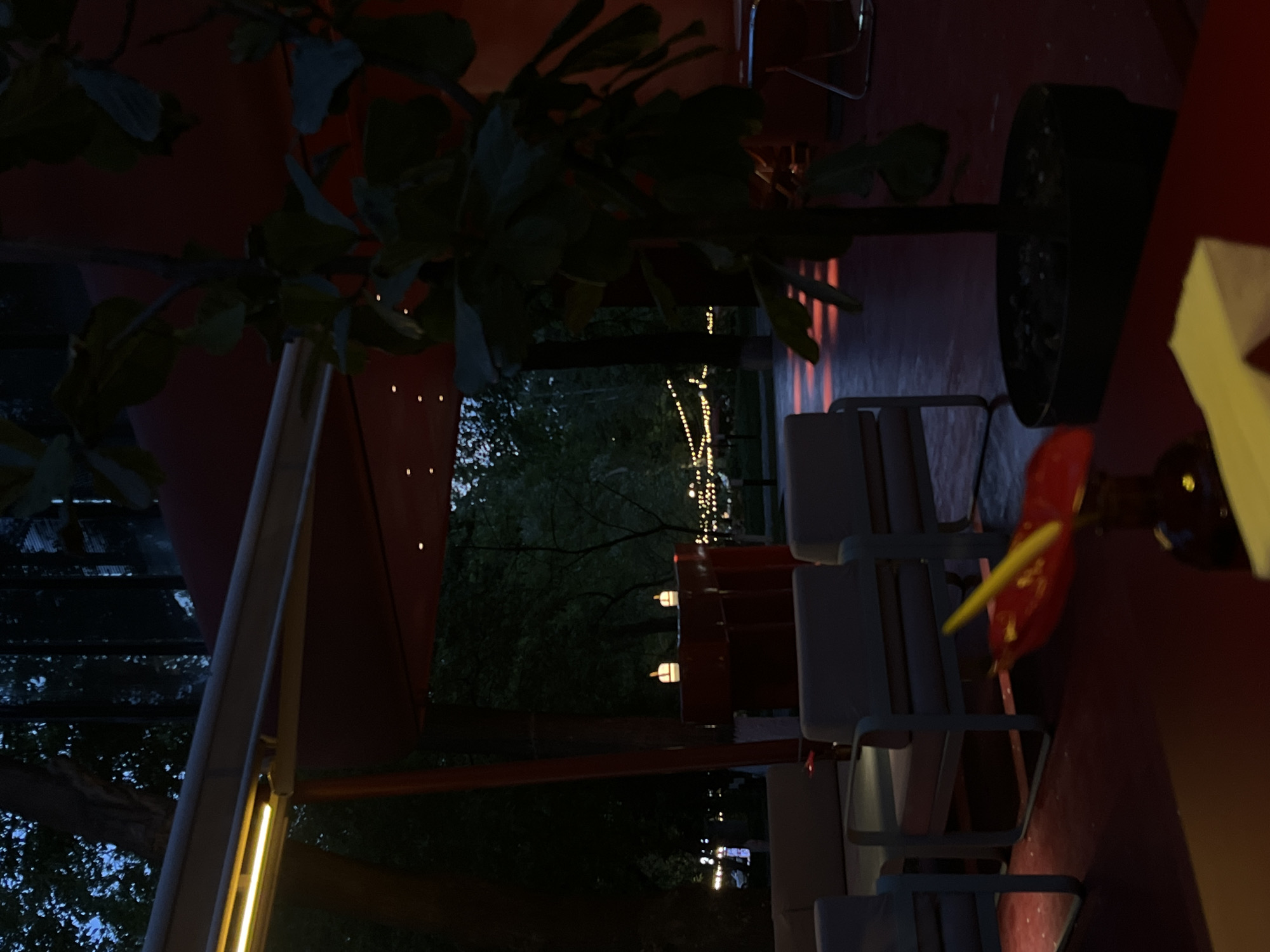 The image depicts an outdoor seating area in Yerevan, Armenia, at night. There are several grey chairs and tables with a red surface. A large green plant is on the table. The scene is illuminated by string lights and some exterior lighting in the background. In the background, there are many trees and an open space. A red flower is on the table.