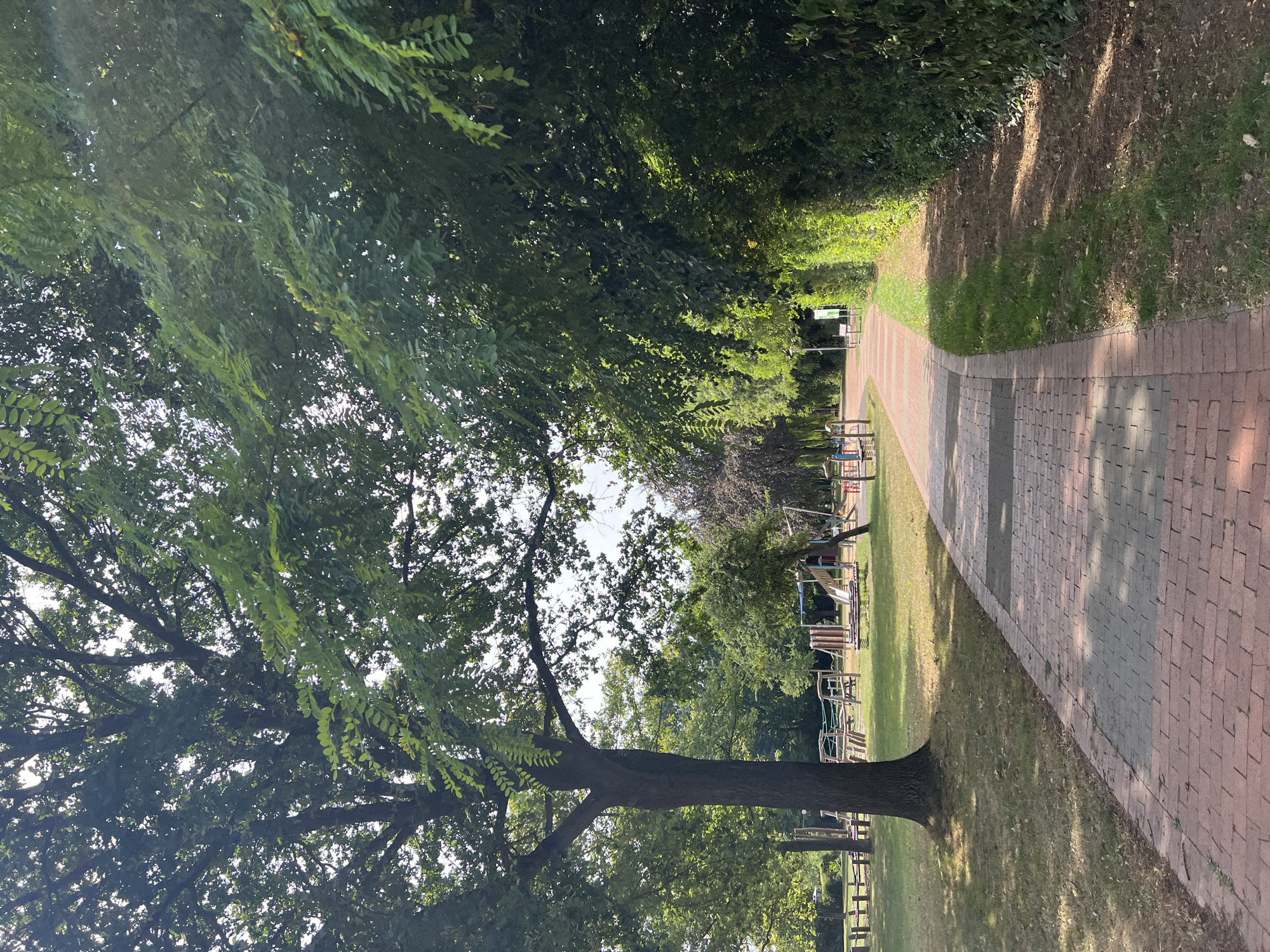 A brick pathway curves through a park on a sunny day. The path is lined with grass and a dense hedge on the right side. On the left side of the path, a playground is visible with various structures, including swings, slides, and climbing frames. Large trees with green leaves provide shade over parts of the park. In the background, more trees and greenery suggest a suburban or parkland setting. The sky is partly cloudy. No people are present in the image.