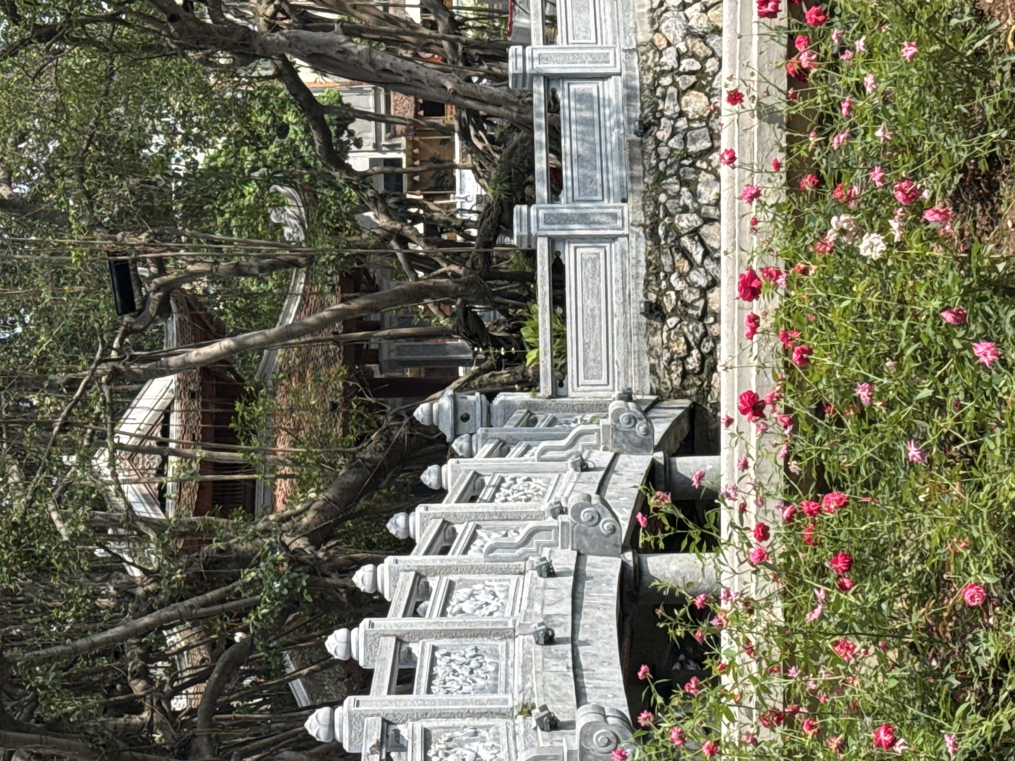 A sideways medium shot reveals a portion of a stone bridge, a tree, and a stone wall adjacent to flowers. The bridge is constructed from stone, and the intricate carvings on its surface are clearly visible. The tree has many exposed roots and branches. The stone wall is visible in the background. The flowers are small, mostly pink, with some white. The building is located in Hà Nội, Vietnam.