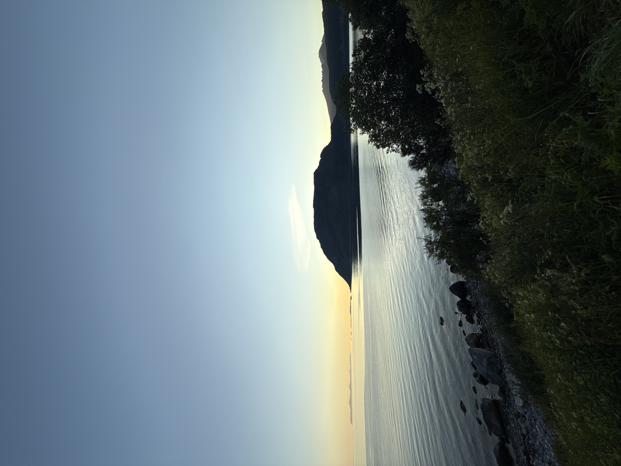This image depicts a serene coastal landscape at dusk, likely near Harstad, Norway. The scene is dominated by a calm body of water, reflecting the soft, gradient hues of the twilight sky which transitions from a pale yellow at the horizon to a clear blue overhead. In the distance, a dark, silhouetted mountain range forms the backdrop, with a prominent, rounded peak rising from the water's edge on the right side of the frame. The foreground features a rocky shoreline sparsely populated with stones and pebbles. Dense, dark green vegetation, including bushes and tall grasses with small white flowers, covers the immediate bank, creating a textured contrast with the smooth water. There are no people or animals visible in the frame, and no discernible human activity. The overall atmosphere is one of natural tranquility and quietude, characteristic of a remote coastal setting.