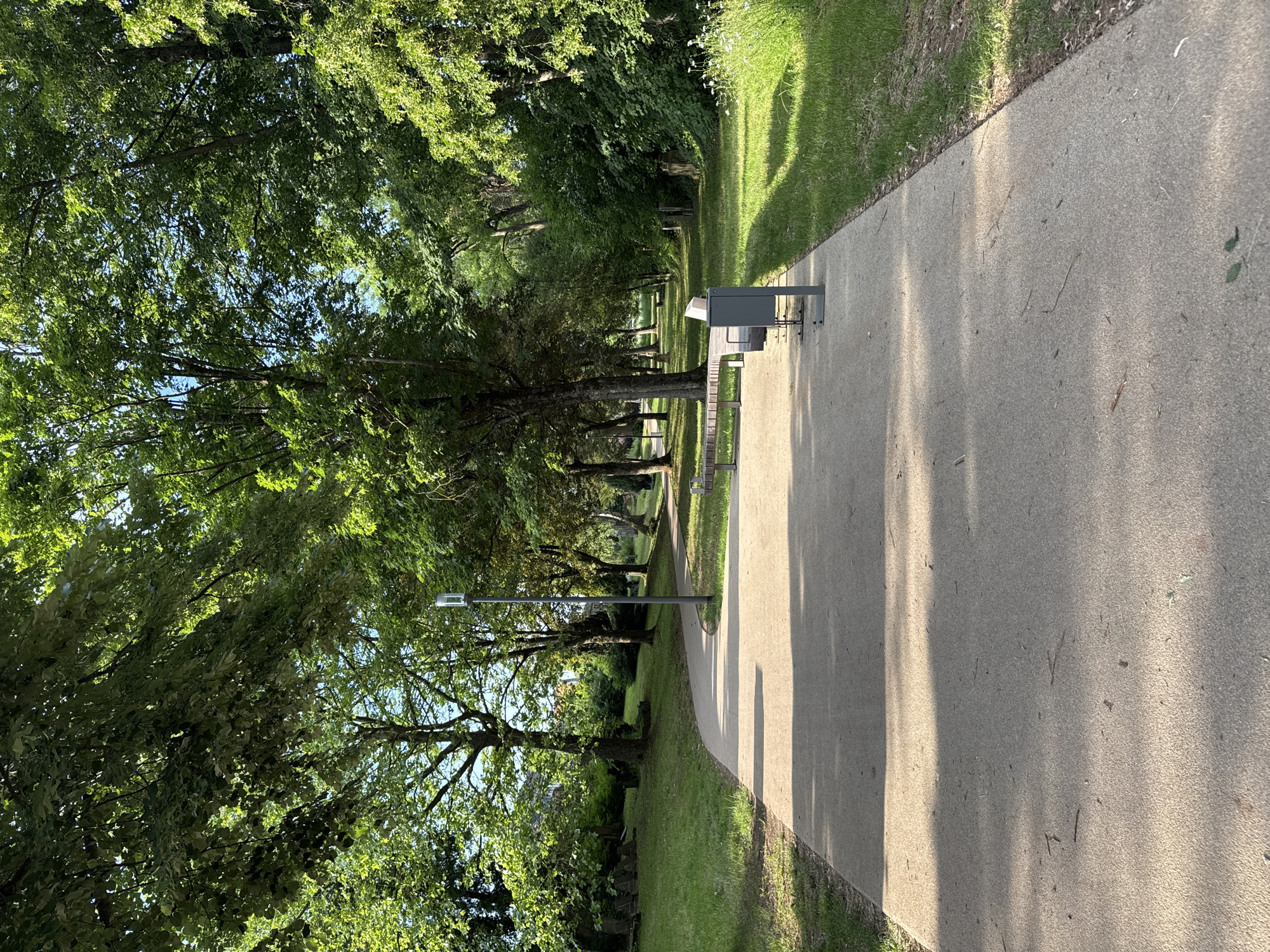 An outdoor scene depicts a paved pathway curving through a park. Tall, mature trees with dense green foliage line both sides of the path, creating a canopy that casts dappled shadows on the ground. Sunlight illuminates sections of the path, highlighting its textured concrete surface. On the right side of the path, a modern park bench with a gray metal frame and wooden slats is visible, along with a matching trash receptacle. The ground is covered in lush green grass, with some small white wildflowers growing near the edge of the path. In the distance, the path continues to wind through the trees, and a lamppost stands on the left side of the pathway. The overall impression is one of a serene and well-maintained urban park on a sunny day.