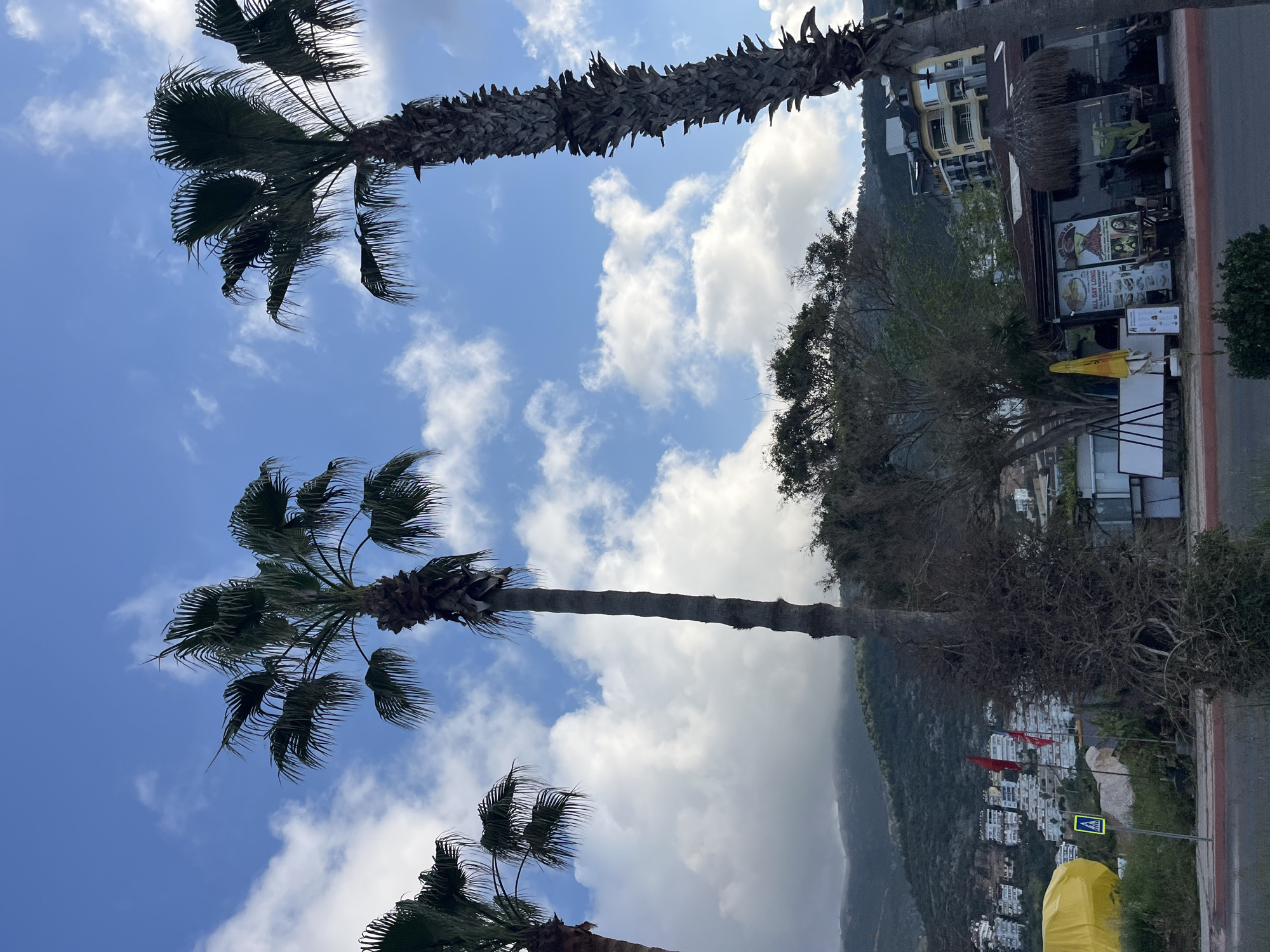 The image shows a street scene in Alanya, Turkey. Three palm trees are visible against a bright blue sky with scattered white clouds. Adjacent to the palms, there is a building with a thatched roof extension, which appears to be a restaurant or cafe with outdoor seating. Further back, a tree line and a hillside dotted with white buildings are visible. Red flags are seen amidst these buildings on the hillside. A yellow object covered in tarpaulin is visible in the foreground.