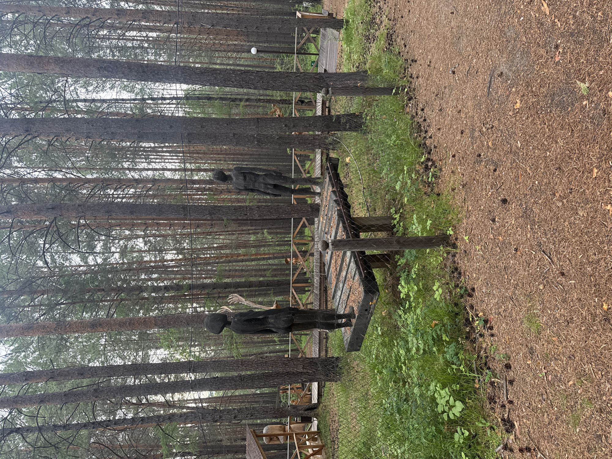 In the city of Savvateevka, Russia, a forested area features two dark, human-shaped sculptures standing on a raised wooden platform. The sculpture on the left depicts a figure with short hair from the back, while the sculpture on the right is a nude male figure. The figures are positioned facing away from each other. Surrounding the sculptures is a wooden walkway with railings, and beyond that, more trees and vegetation. Pine cones are scattered across the sandy, needle-covered ground. A wire fence runs across the foreground, separating the path from the sculptures. The overall environment suggests an outdoor art installation within a natural setting.