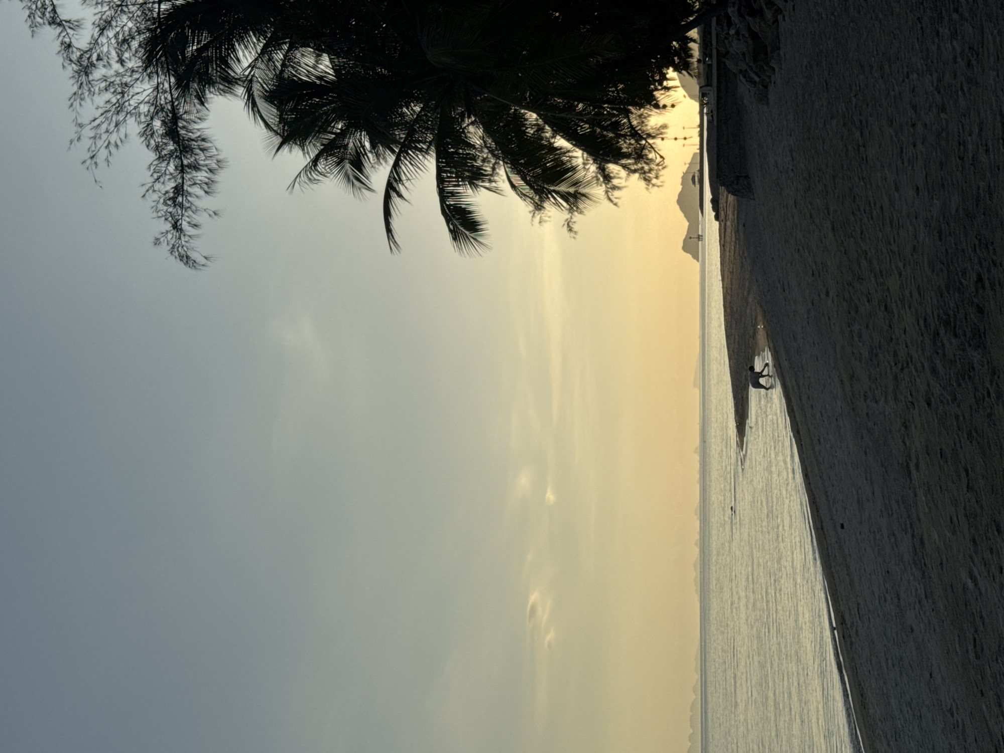 This is a vertical, candid, low-angle silhouette photograph of a beach at dusk in Ko Pha-ngan District, Thailand. A lone dog is visible near the water's edge on the sandy beach. Palm trees and other foliage are silhouetted against the hazy, golden sky on the right side of the frame. In the distance, silhouetted islands and a small structure with lights are visible across the calm ocean. The sand is dark and textured, leading up to the water. The sky transitions from a pale blue at the top to a warm yellow near the horizon.