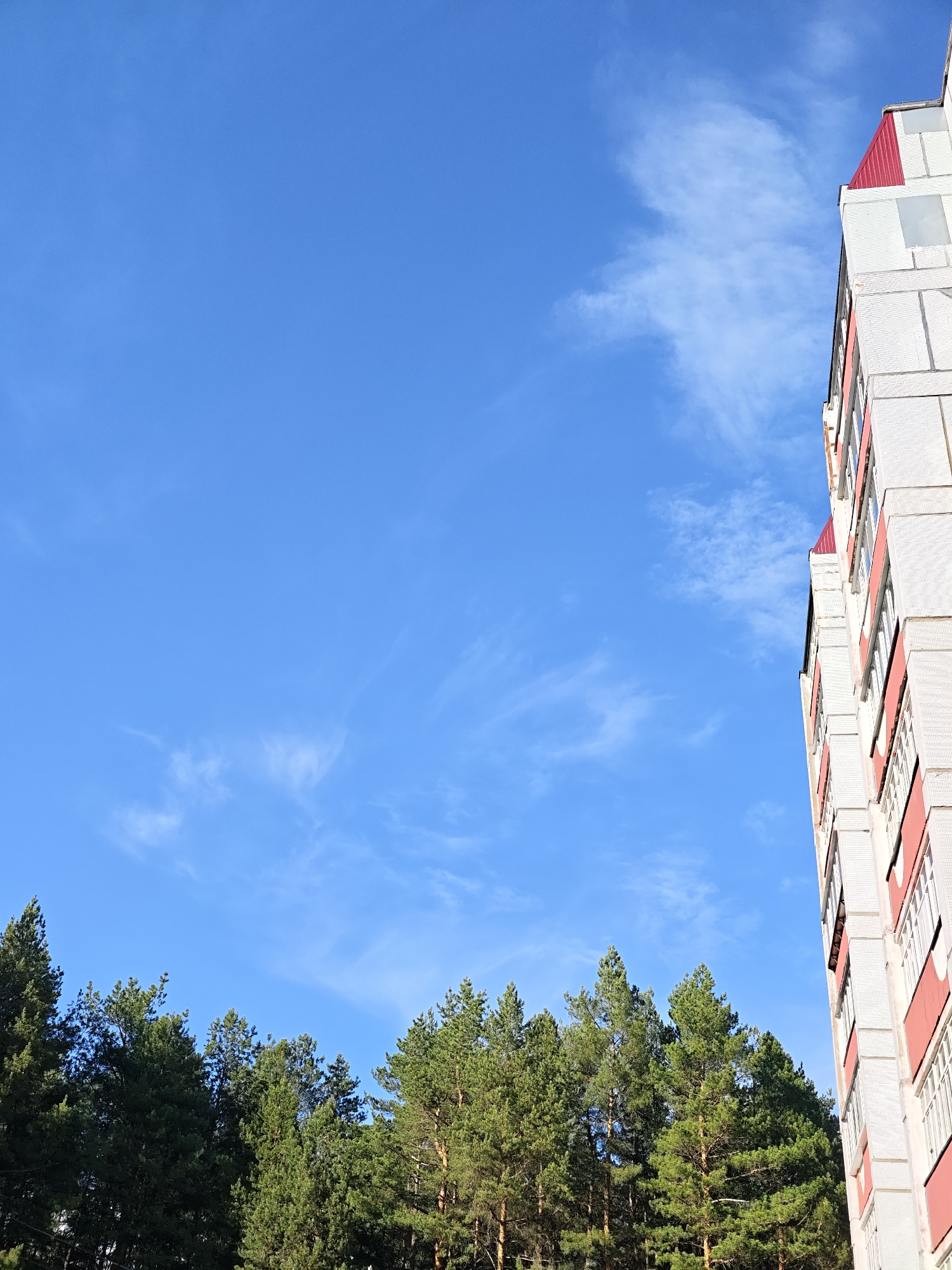 The image depicts a clear, blue sky with wisps of clouds. The lower portion of the frame features a line of evergreen trees, likely pines, with dense foliage. To the right side of the frame, a multi-story building with a light-colored facade and red accents is visible. The architecture appears to be typical of Soviet-era construction. Based on the prompt, the location is likely Chaikovsky, Russia. There are no people or animals visible in the frame. The scene is still and devoid of action. The dominant elements are the sky, trees, and the residential building.