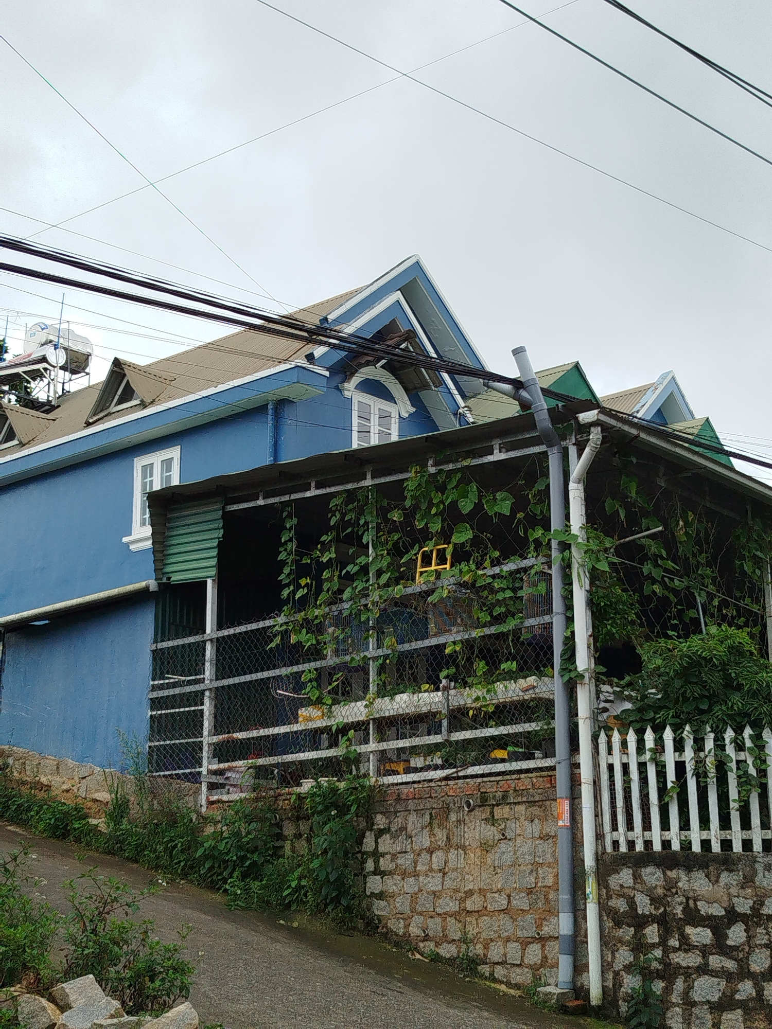 A low-angle, full shot captures a bright blue house on a slightly sloped street in Da Lat, Vietnam. The house, featuring a brown, gabled roof with blue trim, has several dormer windows and a prominent white window with arched top on the second story. A covered porch with a metal roof extends from the front of the house, partially obscured by dense green vines and a chain-link fence. White pickets form a fence along the right side of the property. A grey downspout runs vertically along the porch's exterior. The street is paved with asphalt and edged with stone walls and overgrown greenery. Power lines are strung across the overcast sky.