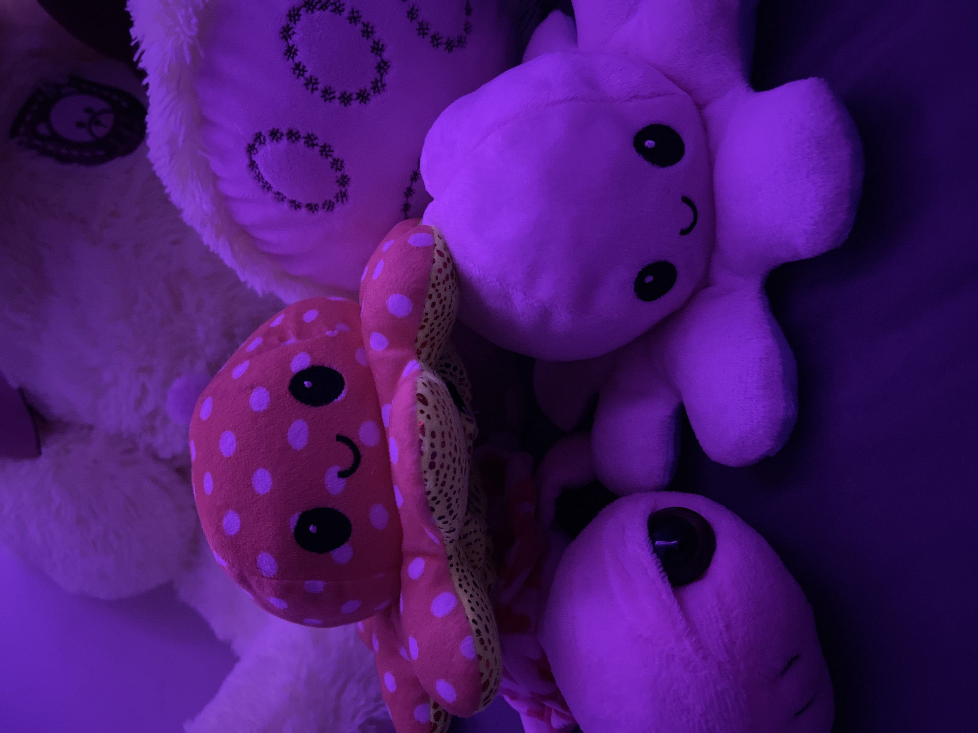 The image shows a collection of stuffed toys illuminated by purple light. In the foreground, a pink and white polka-dotted octopus plush toy is visible, with its tentacles spread out. To its right, a pale purple octopus plush toy with black eyes and a smiling mouth is also displayed. To the left and partially obscured, a stuffed toy with a single large dark eye and a subtle smile can be seen. In the background, larger white stuffed toys are present, one with embroidered floral details around its face. The scene is dark, with the purple lighting creating a dramatic effect. The image was taken in a dimly lit indoor environment, potentially a bedroom or play area. There are no people or animals visible in the image. There is no information available to determine the location in the city of Totleben, Bulgaria.