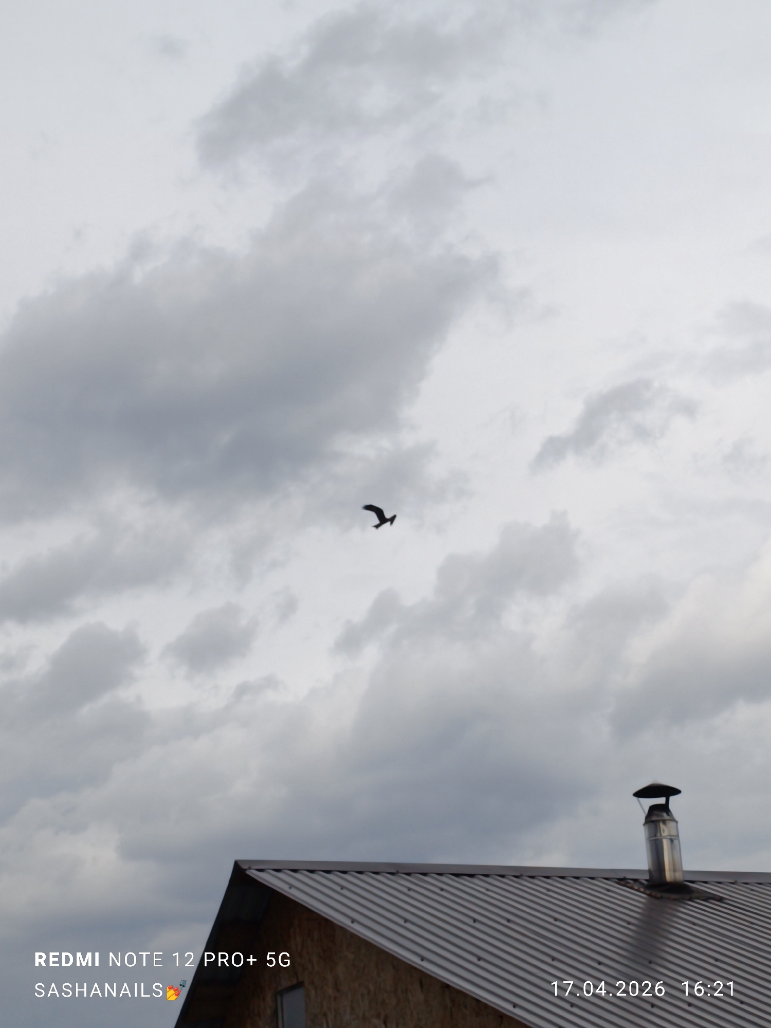 The image displays an outdoor scene under an overcast sky filled with gray clouds. A single dark bird is captured in silhouette, flying with outstretched wings against the cloudy backdrop in the upper central portion of the frame.
In the bottom right corner, a section of a building's roof is visible. The roof is made of corrugated metal, appearing dark gray or brownish, with a reflective surface. A cylindrical, metallic chimney with a cap protrudes from the roof. The overall lighting suggests daytime.
Visible text overlays include "REDMI NOTE 12 PRO+ 5G" and "SASHANAILS💅" in the bottom left corner. In the bottom right corner, a timestamp reads "17.04.2026 16:21". No people are present in the image. The scene depicts a cloudy late afternoon in Chaikovsky, Russia.