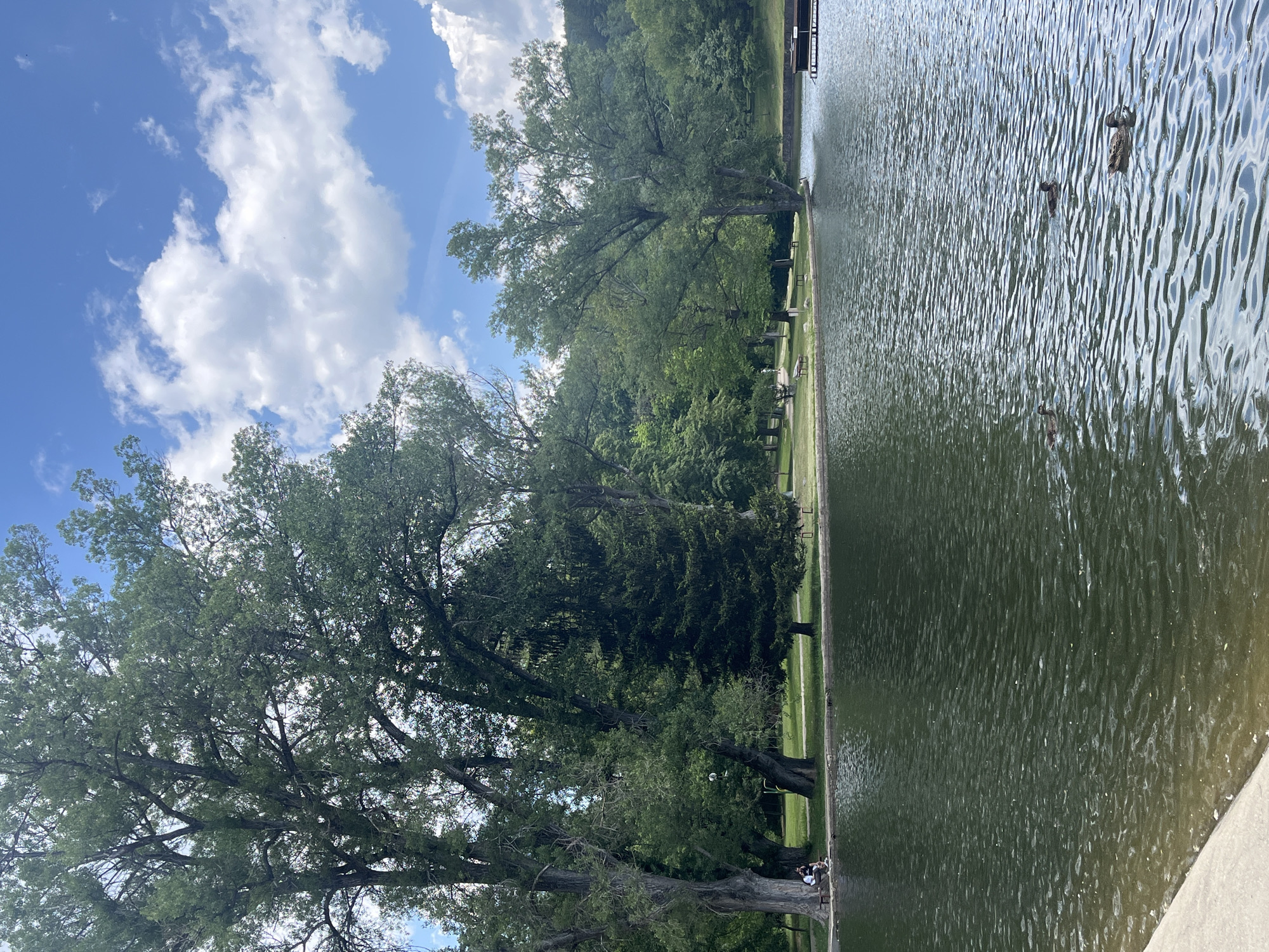 The image shows a park in Blagoevgrad, Bulgaria. On the left, there are green trees reaching up toward a blue sky with white clouds. Next to the trees, there is a grass area. At the edge of the grass, there is a body of water. Ducks are swimming in the water. People are sitting near the trees.