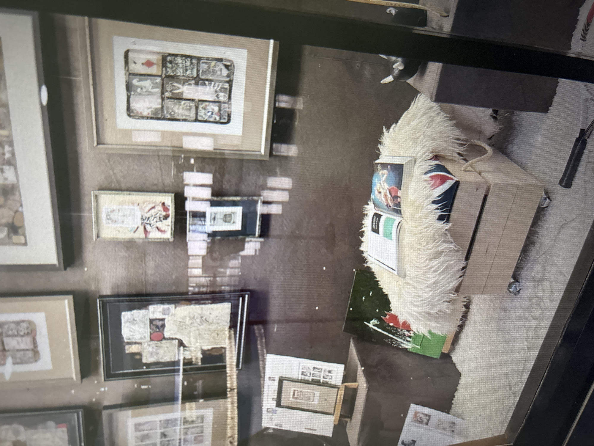The image depicts a shop window display in Novosibirsk, Russia, featuring a collection of framed art pieces, books, and decorative items. The artwork appears to be mixed media, with some pieces resembling collages or assemblages of paper and other materials. One framed artwork in the center foreground contains what looks like a collection of small, vintage photographs or prints arranged in a grid.
In the lower section of the display, a white, shaggy ottoman sits on a plush rug. A book is open on top of the ottoman, displaying colorful illustrations. A green, rectangular object, possibly another piece of art or a decorative element, is placed next to the ottoman. The overall impression is one of a curated exhibit showcasing artistic and perhaps historical items. The reflections in the glass suggest it is an indoor space, likely a gallery or a shop specializing in art or antiques.