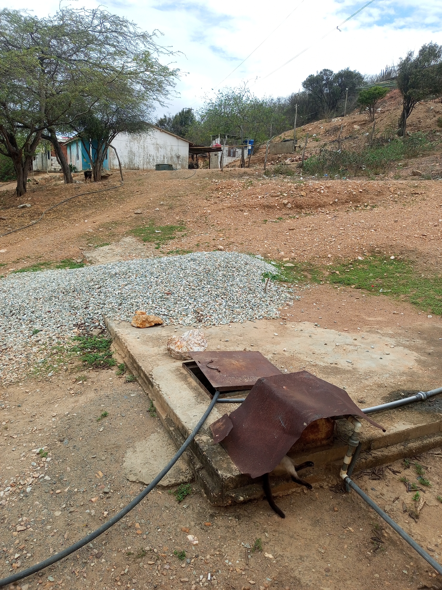 The image depicts an outdoor scene in what appears to be a rural area, possibly the outskirts of La Tagua, Venezuela. In the foreground, a concrete structure with two metal covers is visible. One of the metal covers is a rusted, bent sheet, under which a cat with dark points and a light body is partially visible, with its tail and hind legs extended out. A dark hose runs along the ground towards this structure, connected to a pipe. To the left of the concrete structure, a large pile of gravel is present. In the middle ground, there are several simple, weathered buildings with white and light blue walls, surrounded by trees and dry vegetation. A dirt path winds through the scene, leading towards the structures. The background shows a gently sloping, rocky hill with scattered trees and shrubs, and a cloudy sky. The overall impression is one of a functional, possibly unfinished, outdoor area with signs of basic construction and animal presence.