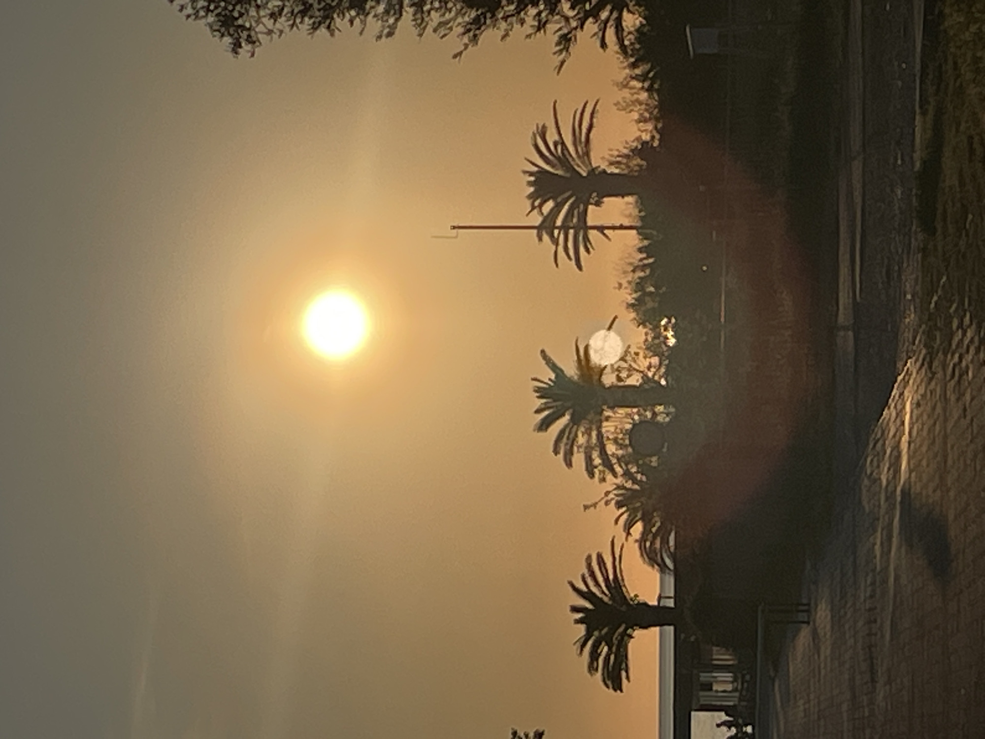 The image shows a sunset over a coastal area in Bar, Montenegro. Silhouetted palm trees are visible against the bright sun and orange-tinged sky. A brick walkway or road is in the foreground on the right. A streetlight post is partially visible. The sun is low on the horizon, creating a strong glare. The overall atmosphere is hazy and warm. The sea appears to be at the bottom of the scene.