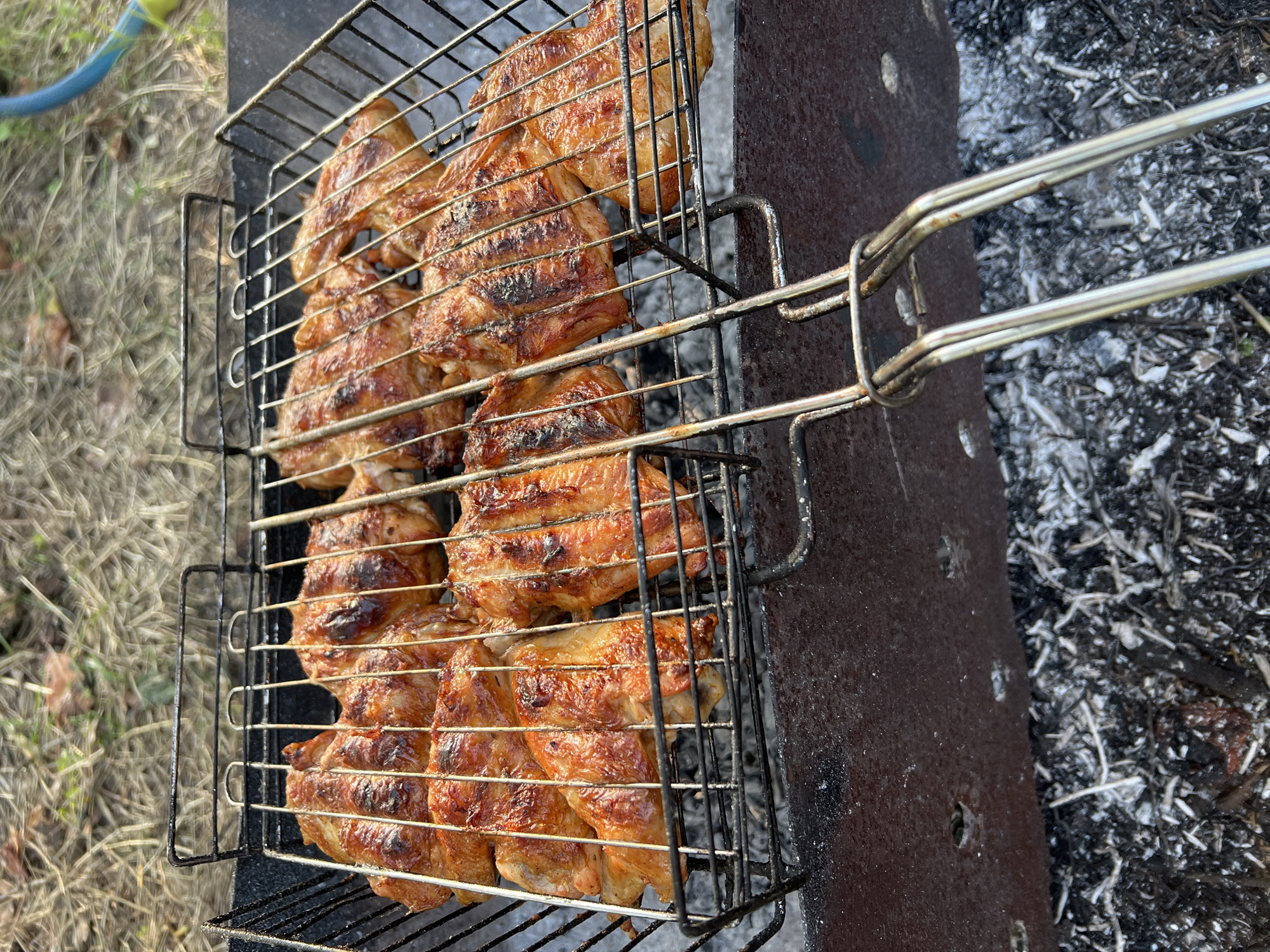 The image shows chicken pieces on a grilling rack placed over a charcoal grill. The chicken is golden brown and appears to be cooked. The grill is made of metal and is filled with burnt charcoal. The background consists of dry grass and leaves, suggesting an outdoor setting. There are no people visible in the image. The scene is likely taking place in a park or backyard.