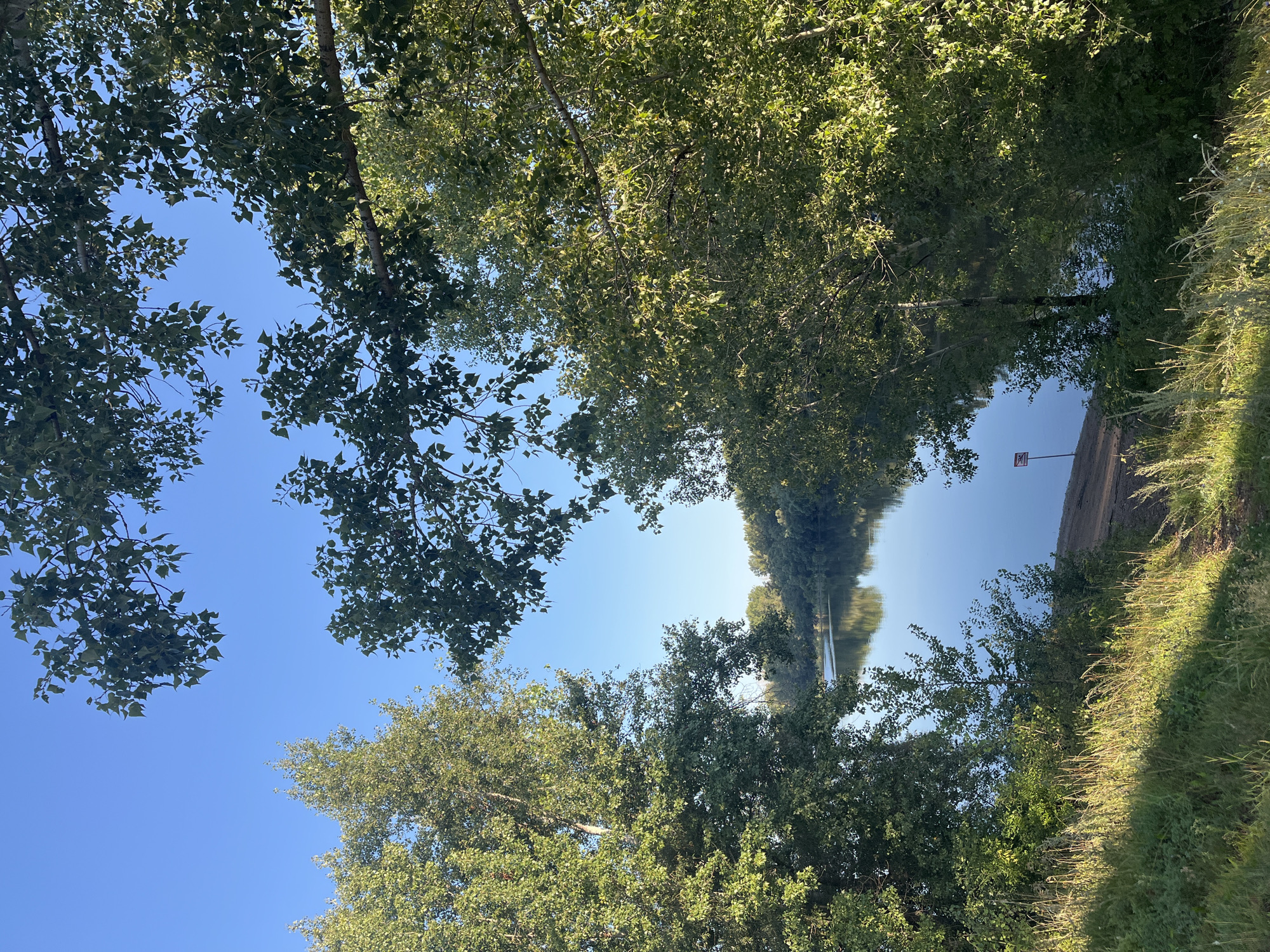 The image depicts a serene natural scene with a body of water reflecting the clear blue sky and the surrounding lush green trees. The foreground is dominated by tall grass and foliage, illuminated by the warm light of what appears to be early morning or late afternoon. In the middle ground, the calm water stretches out, bordered by a dense line of trees on the far bank. A small, reddish signpost is visible near the water's edge on the left side of the image. The overall impression is one of tranquility and natural beauty. The location is identified as the Amur River in Blagoveshchensk, Russia.