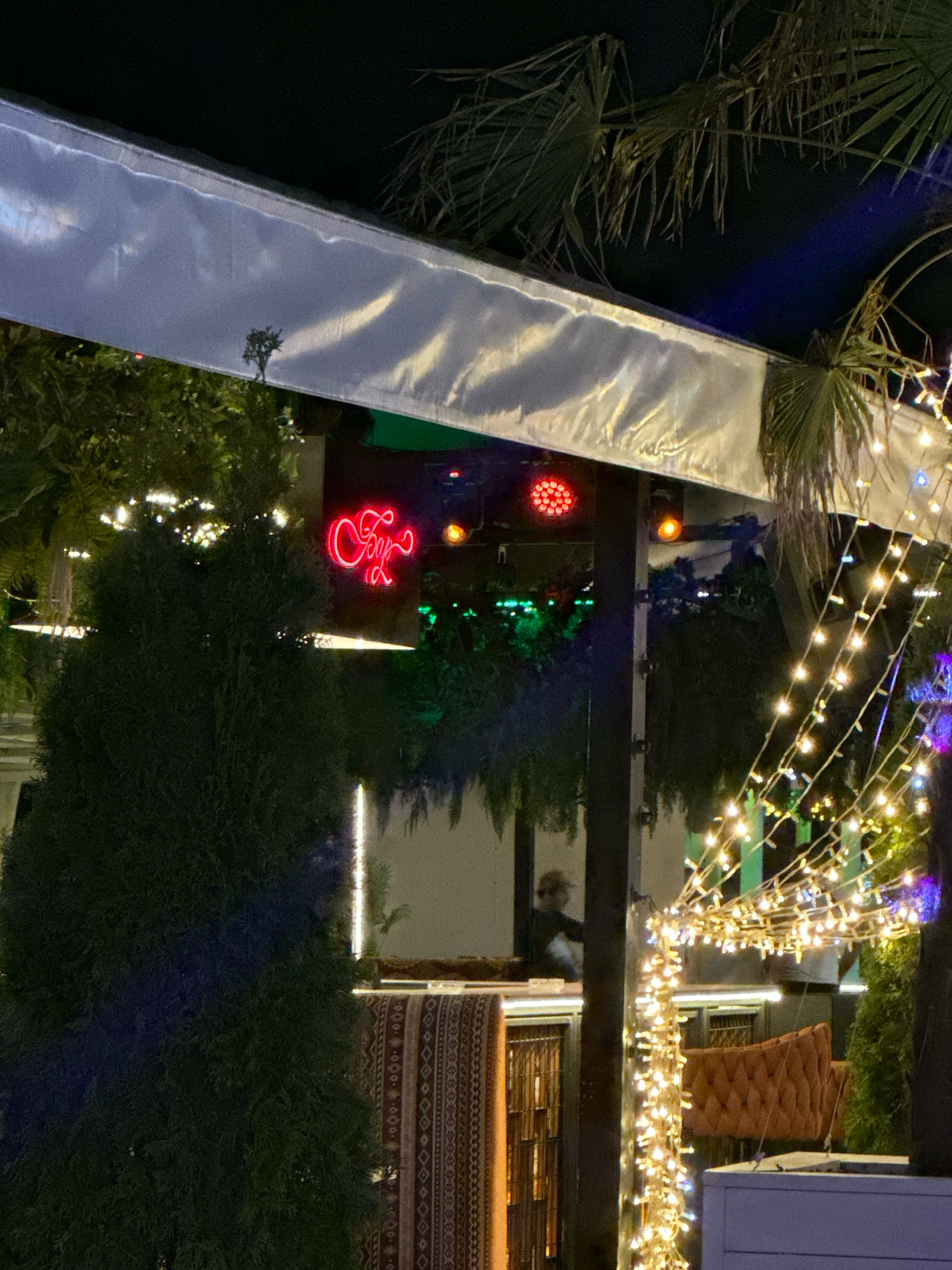 The image captures an outdoor nighttime scene at a venue in Lermontovo, Russia, possibly a restaurant or bar, as indicated by the neon signage and decorative lighting. A prominent neon sign in red script, likely spelling out the venue's name or a word like "Cafe," is centrally positioned against a dark background. Surrounding this are various lights, including a cluster of red LED lights above and strings of warm white fairy lights draped across the foreground, adding a festive ambiance.
The setting appears to be partially covered by a white awning or canopy, which reflects light and creates bright highlights. To the left, a large, dark green coniferous tree dominates the frame, its dense foliage obscuring parts of the background. To the right, palm fronds are visible against the night sky, suggesting a location with a warm climate or a deliberate aesthetic choice.
In the middle ground, behind the neon sign and foliage, there's a glimpse of an interior or covered area with more green lighting and what appears to be a person silhouetted against a window. Further to the right, an orange tufted armchair is visible, hinting at comfortable seating arrangements. Decorative rugs or textiles are also visible, draped over what could be a bar or counter. The overall impression is one of a lively, illuminated outdoor space designed for evening entertainment.