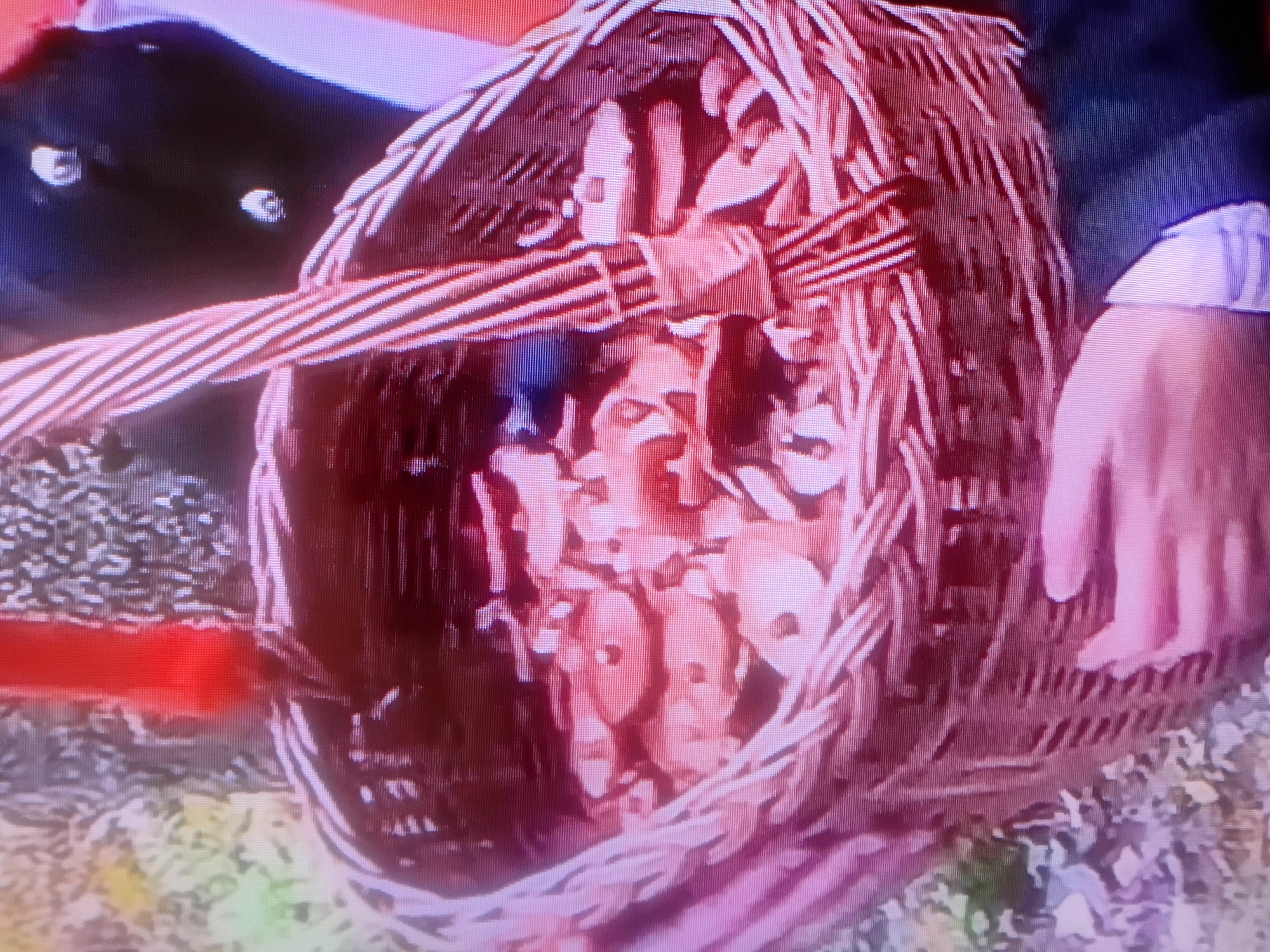 A close-up shot shows a wicker basket filled with mushrooms, held by a person whose hands are visible in the lower portion of the frame. The basket's handle, made of striped material, is prominent. The background is blurred, with hints of greenery suggesting an outdoor setting. There are no discernible landmarks or elements that would place this scene specifically in the city of Petropavl, Kazakhstan. The image quality is low, and the details are pixilated.