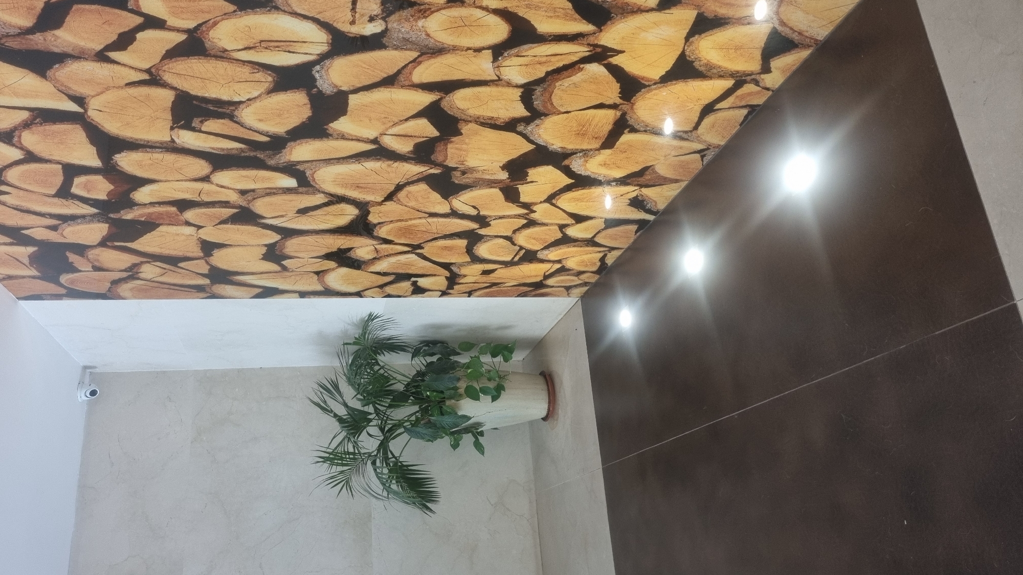 The image depicts an indoor scene, likely a hallway or entryway, with a security camera mounted high on a wall. To the right, a large wall is covered in a wallpaper designed to resemble a stack of firewood, showcasing various circular wood grain patterns in shades of brown and yellow. In the foreground, the floor is split into two sections: a darker, polished surface on the left and a lighter tiled surface on the right, meeting at a diagonal line. Several small, bright lights are embedded in the dark floor, casting distinct reflections. A potted plant with green fronds and trailing vines sits on the lighter tiled section near the firewood-patterned wall. The overall impression is one of a modern interior design with a rustic accent. The presence of a security camera suggests this might be a public or semi-public space, potentially a building lobby or a commercial establishment. This scene is located in Tel-Aviv, Israel.