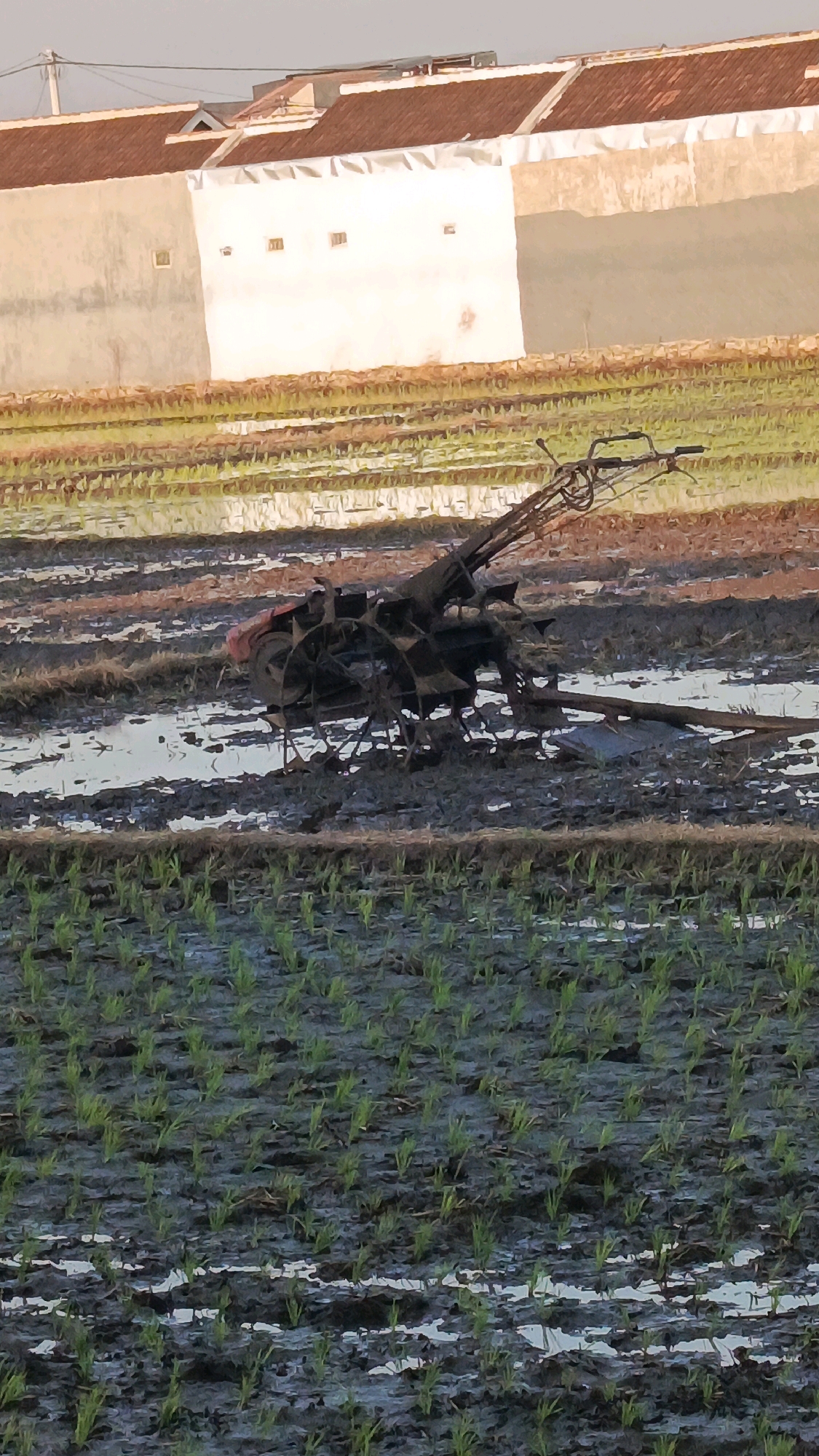 The image depicts a rural scene in Babadan, Indonesia, at what appears to be a rice paddy. In the foreground, young green rice plants are emerging from muddy, waterlogged soil. The middle ground features a tiller, a piece of agricultural machinery, resting in the mud. It is black and red, with prominent wheels and a complex mechanical structure. The background shows a row of houses with reddish-brown tiled roofs and light-colored walls. The sky above is a pale, hazy gray. The overall impression is one of agricultural activity in a village setting.