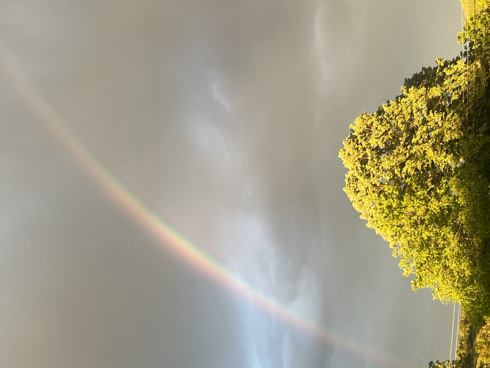 A rainbow arcs across a cloudy sky, terminating near a tree. The location is Zelenikovo, Bulgaria.