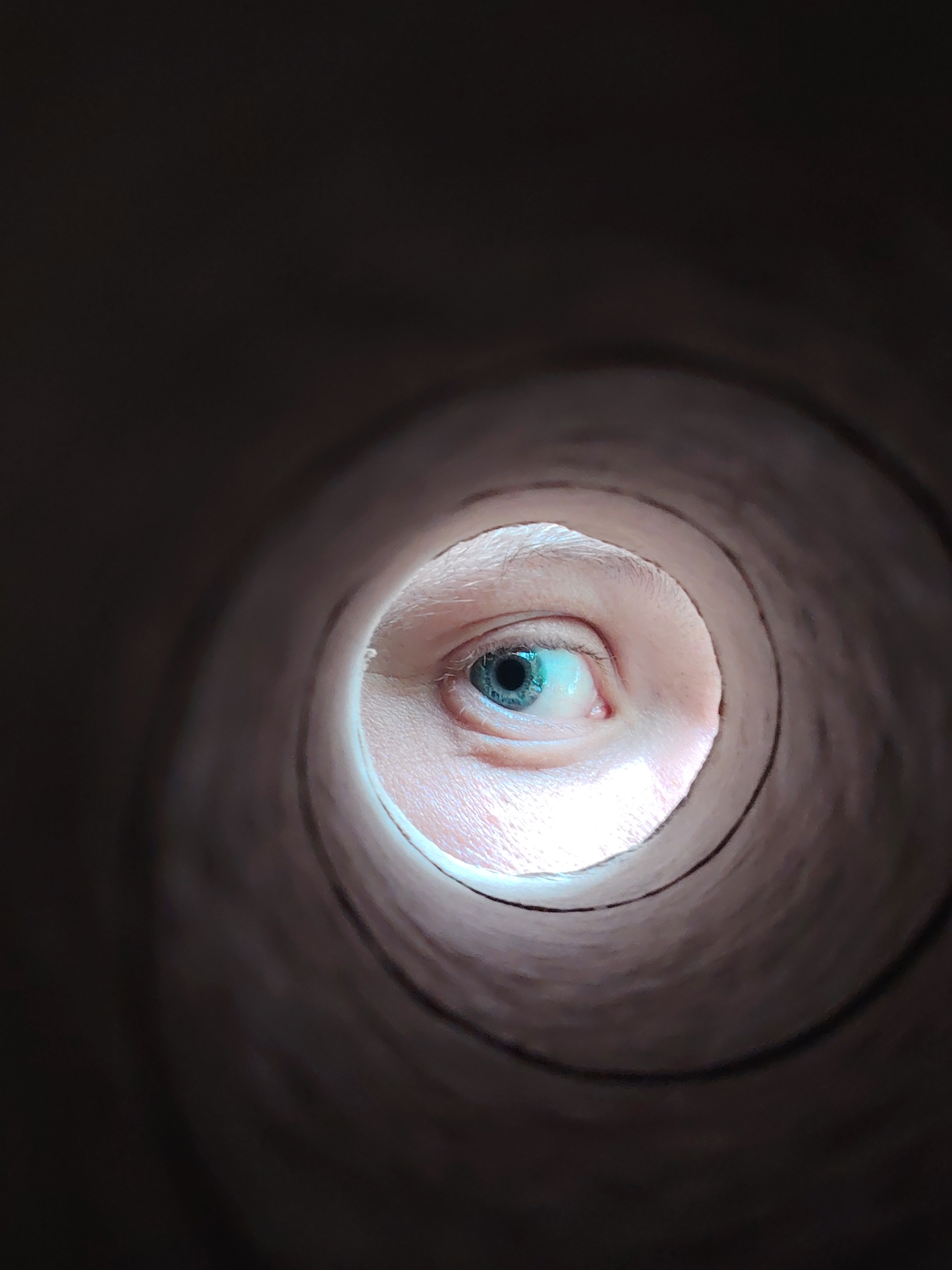 An eye peers through a cylindrical opening, its blue iris and pupil clearly visible against the pale skin of the surrounding eyelid and brow. The light illuminates the eye from within the opening, creating a bright, almost ethereal glow around it. The opening itself is dark and textured, suggesting it could be a cardboard tube or a similar hollow object. The background of the image is a soft, blurry expanse of dark brown, drawing all attention to the singular, watchful eye. There is no indication of the city of Chaikovsky, Russia, or any other environmental context within the image.