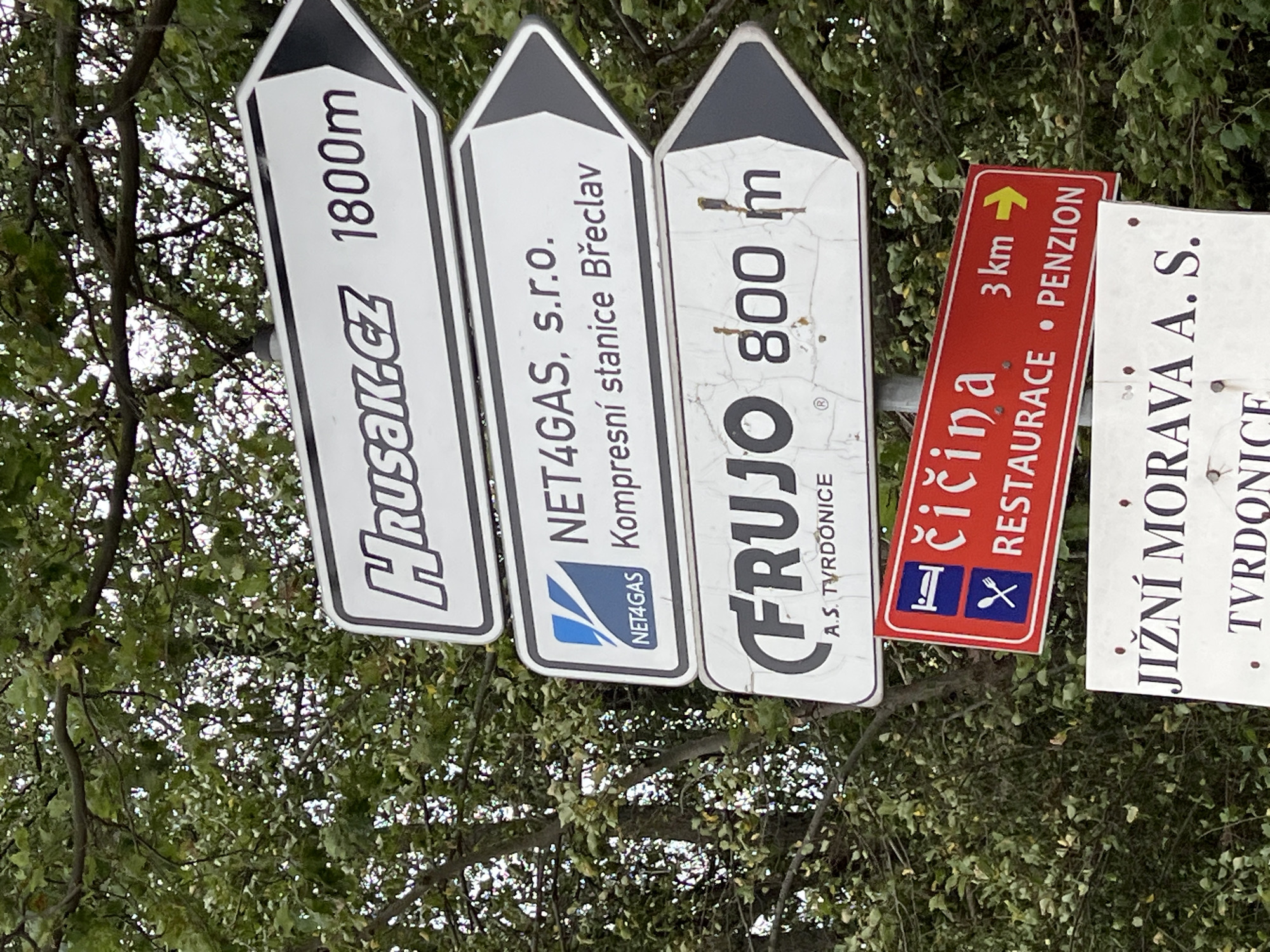 This media file captures a cluster of directional signs against a backdrop of lush green trees and foliage, suggesting an outdoor setting, possibly a park or a natural area. The signs are oriented at an angle, and the foliage partially obscures them, indicating a natural, perhaps slightly overgrown, environment. The lighting suggests it is daytime, and the overall atmosphere is casual and informative.
The signs themselves are the primary subjects. They are a mix of shapes and colors, primarily white with black text, and one red sign with white and yellow text. The visible text on the signs indicates various destinations and distances. One sign reads "HRUSAK.CZ 1800m," and another "NET4GAS, s.r.o. Kompresní stanice Břeclav." A third sign states "FRUJO 800 m" with "A.S. TVRDONICE" below it. A prominent red sign displays "čičina" with a yellow arrow pointing right, followed by "3 km → RESTAURACE • PENZION." Another white sign reads "JIŽNÍ MORAVA A. S." with "TVRDONICE" beneath it. The presence of business names like "NET4GAS," "HRUSAK.CZ," and "FRUJO," along with indicators for "RESTAURACE • PENZION," suggests this is a tourist or travel-oriented location, likely in or near Hrušky, Czechia, as indicated by the location context. There are no people visible in the image. The signs are functional objects providing navigational information. The weather appears to be pleasant enough for outdoor activities, given the clear visibility and the vibrant green of the trees.