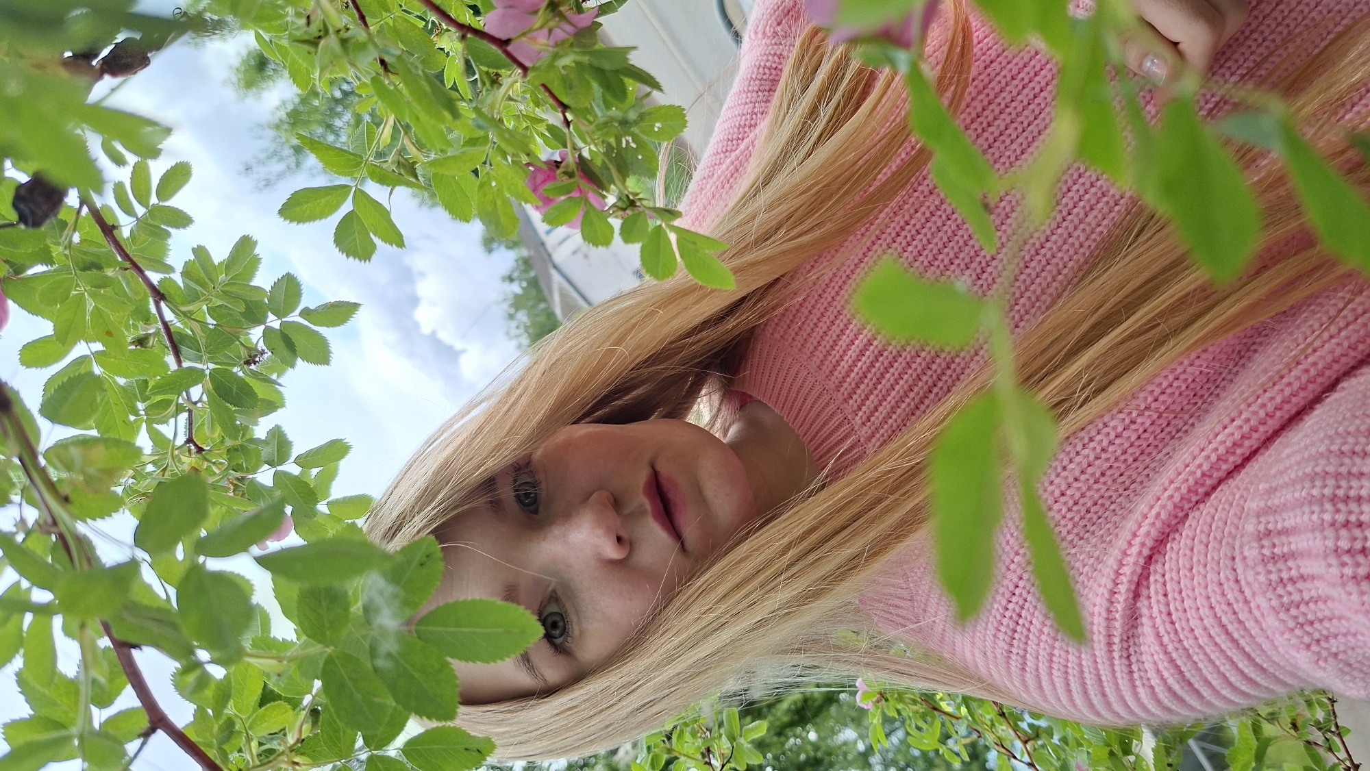 A low-angle, close-up portrait features a young woman looking directly at the camera, framed by vibrant green foliage and a few small pink flowers. The woman has long, straight blonde hair that falls around her face and shoulders, and her blue-green eyes are focused. She wears a pink knitted sweater, the texture of which is visible, especially on her right arm. A hand, possibly her own, with lightly polished nails, is partially visible on the upper right side of the frame, blending with her hair and sweater.
The perspective is from below, looking up through what appears to be a bush or shrub, possibly a rose hip or similar plant, given the shape of the leaves and the small pink blossoms. The background shows a bright, cloudy sky, suggesting it is daytime. Hints of distant green trees or structures are barely visible beyond the foliage. The scene takes place outdoors in Chaikovsky, Russia. The overall impression is one of natural beauty and an intimate connection with nature, with the woman's gaze conveying a calm or thoughtful emotion. There is no visible text in the image.