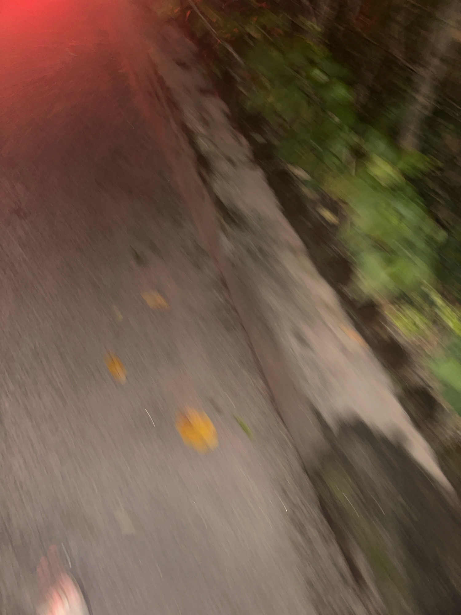The image captures a blurred outdoor scene, likely a pathway or road in Lalitpur, Nepal, due to the red light emanating from the upper left, possibly from a vehicle. The ground is a textured, grayish surface, with several yellowish-orange leaves scattered across it. To the right of the pathway, there is a dense area of blurred green foliage, suggesting vegetation or trees. The overall impression is one of motion, with the blur indicating a fast shutter speed or movement of the camera.