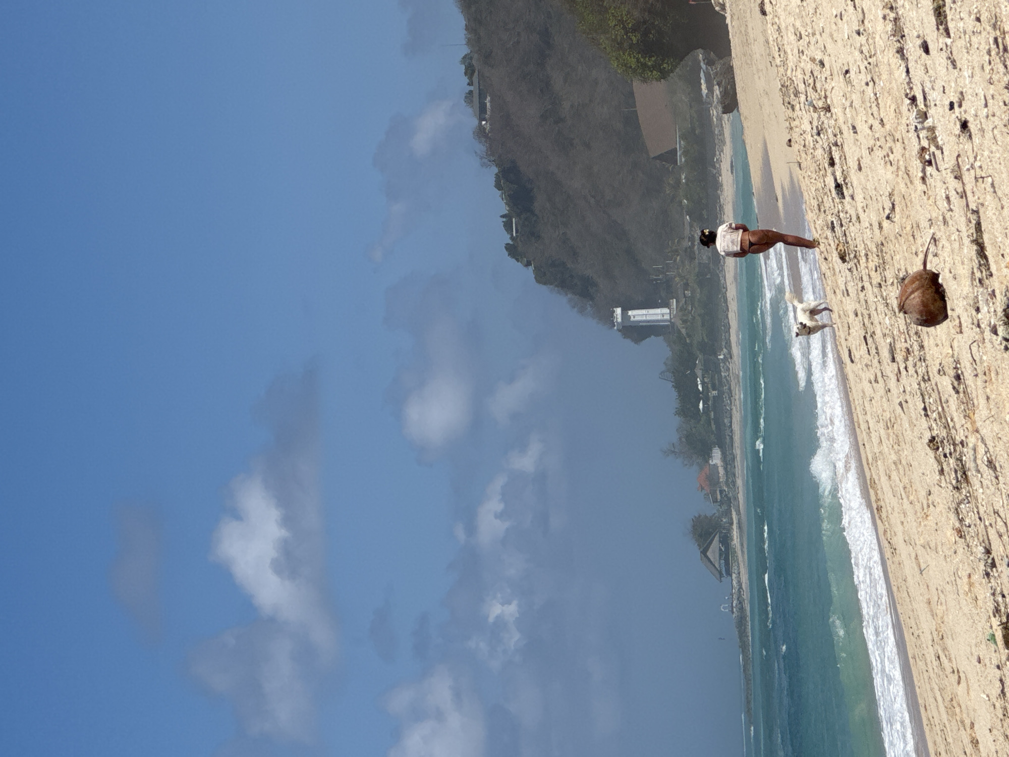 On a sunlit beach in Kuta Selatan, Indonesia, a person wearing a light-colored shirt and dark bottoms walks their white dog along the sandy shore. The person is facing away from the camera, looking towards the turquoise ocean. Waves gently break on the beach. In the background, a lush, green hillside rises, dotted with buildings and a distinctive white lighthouse structure. The sky is a clear blue, with scattered white clouds. The sand is strewn with debris, including a prominent coconut in the foreground.