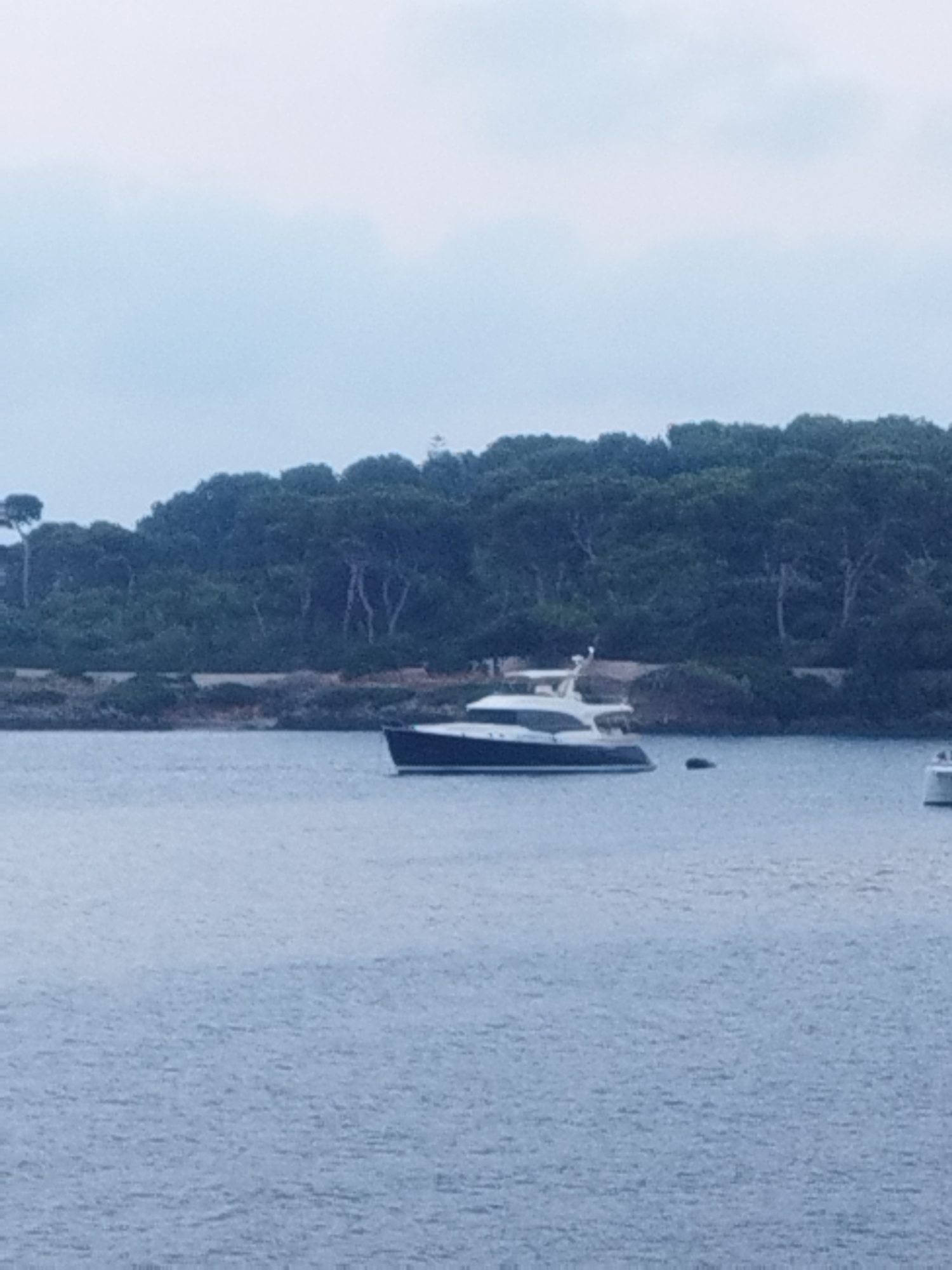 An overcast day is depicted over a body of water with a forested coastline in the background. A dark-hulled motor yacht with a white superstructure is moored in the water, positioned in the left-center of the frame. To the right of this yacht, a smaller, light-colored vessel is partially visible. The coastline is densely covered with green trees, with some evidence of structures or buildings peeking through the foliage. The water appears calm with subtle ripples. No people are visible in the image. The scene suggests a quiet harbor or bay.