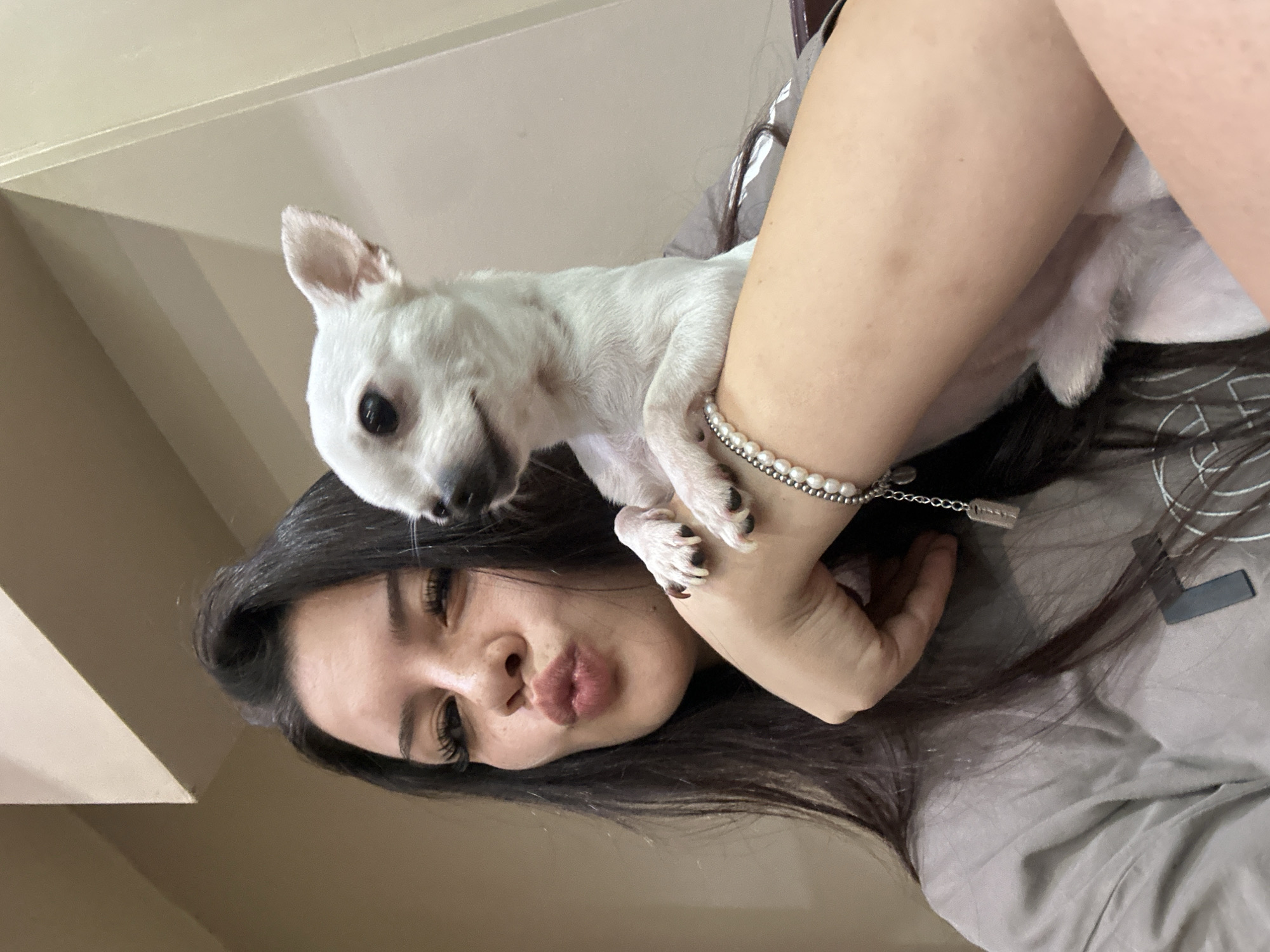 In an indoor setting, a young woman with long, dark hair and full lips pursed in a kiss embraces a small white dog. She wears a gray t-shirt and a pearl bracelet with a charm on her left arm, which is supporting the dog. The dog, a Chihuahua, is held close to her face, with its head turned slightly to the side. The background appears to be an interior with neutral-colored walls and a slanted ceiling. There is no visible indication of the city of Sliven, Bulgaria, in this image.