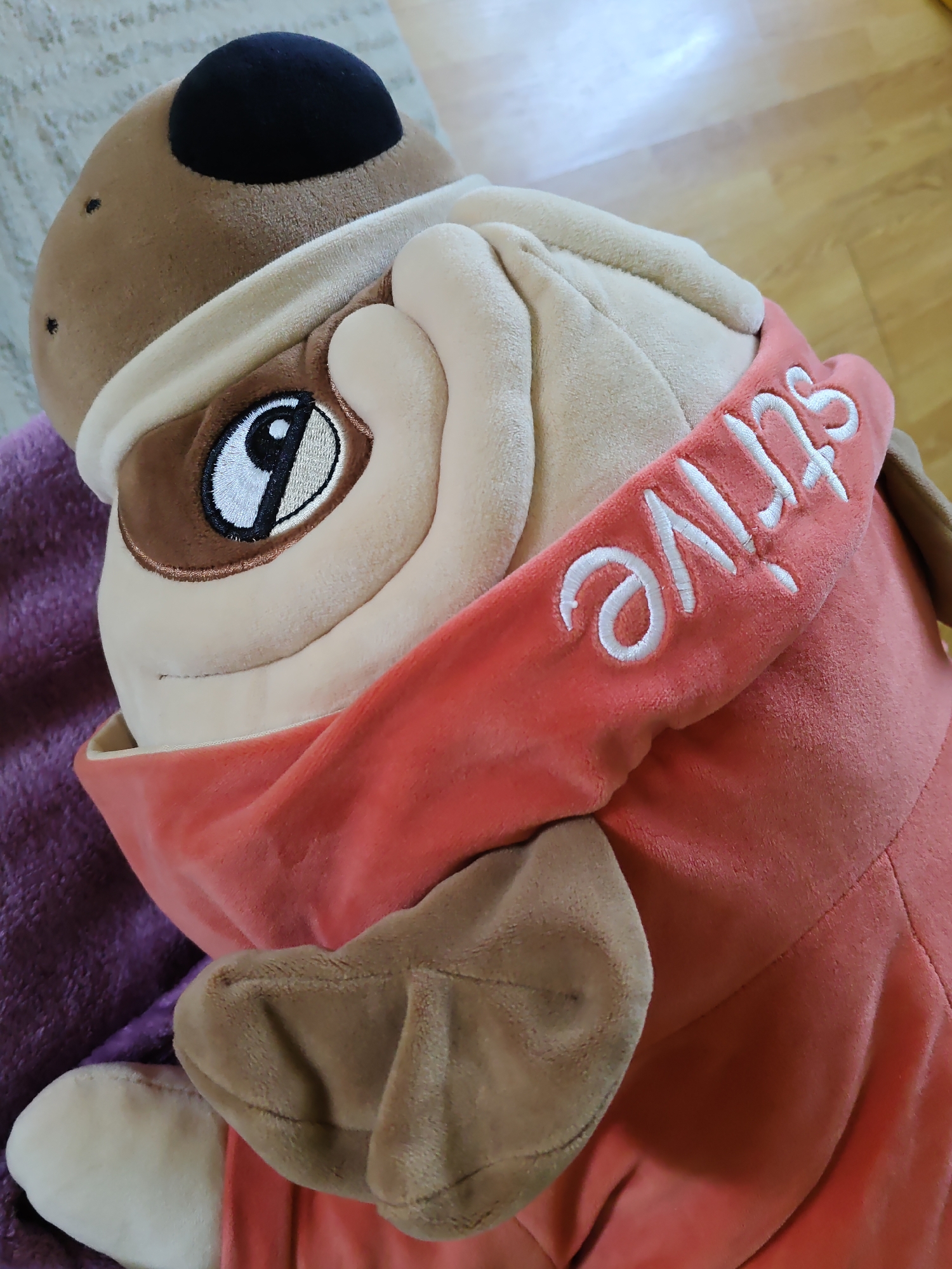 The image is a close-up, high-angle shot of a plush pug toy. The toy is predominantly tan and brown, with a black nose and ear detail. It is wearing a coral-colored hoodie or scarf that has the word "STRIVE" embroidered in white script. The pug has one visible eye, which is embroidered with a black pupil and iris. The toy is resting on a purple blanket, which is partially visible on the left side of the frame. The background consists of a light-colored, textured surface and a wooden floor. The lighting is natural and appears to be coming from above and to the right. The overall scene is static and does not suggest any action or interaction. The location is not determinable from the visual information provided in the image.