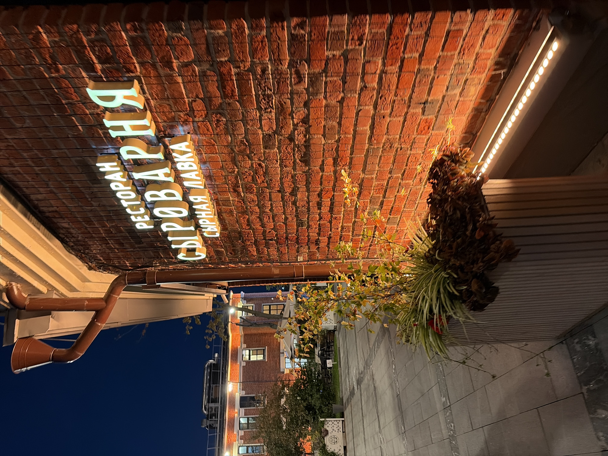 The image shows a red brick building facade at night, with illuminated signage and some greenery. The signage reads "РЕСТОРАН СЫРОВАРНЯ СЫРНАЯ ЛАВКА" in illuminated, three-dimensional letters. To the left of the facade, a downspout runs vertically along the building. In the foreground, a planter contains various plants, including green strappy leaves and dried foliage. A paved walkway with a grid pattern is visible in the lower left portion of the image. In the background, another brick building with illuminated windows and outdoor seating with umbrellas is present. The sky is dark, indicating nighttime. The scene appears to be an outdoor area of a restaurant or establishment in a city. Based on the Cyrillic text on the signage, the location is likely in Russia, and the specific text "СЫРОВАРНЯ" which translates to "cheesery" suggests the establishment's focus. Based on the architectural style and the presence of such establishments, it is likely located in Moscow, Russia, possibly in a courtyard or a pedestrianized area.