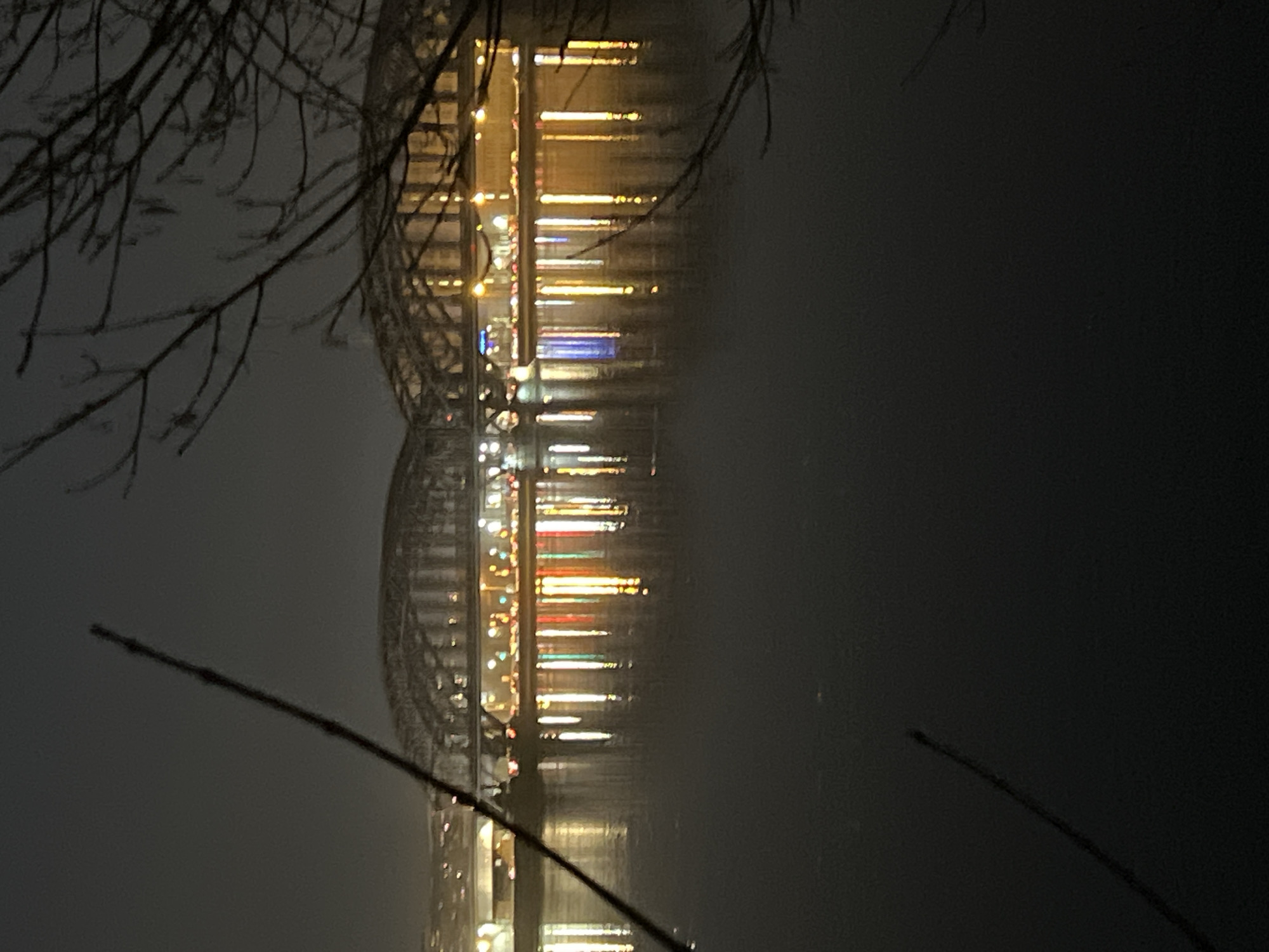 A nighttime view of the Liteyny Bridge spanning the Neva River in Saint Petersburg, Russia, is captured. The bridge's lit arches and supporting structure are visible, reflected in the dark water below. Bare branches of trees are silhouetted in the foreground on both sides of the image. The overall scene is dark with prominent lights from the bridge.