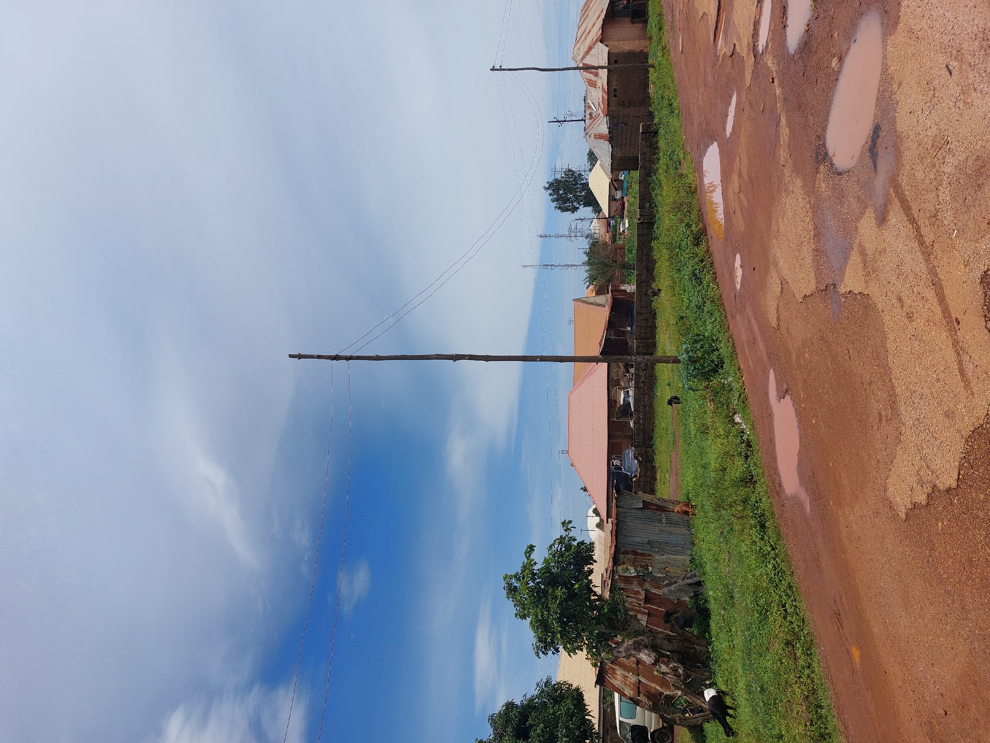 This image depicts a rural scene in Barakin, Nigeria, characterized by a dirt road with numerous puddles. Several residential structures with corrugated metal and red tile roofs are visible in the background, suggesting a modest community. Some of the buildings appear to be constructed from mud bricks, while others have weathered metal siding, indicating varying levels of development and maintenance.
In the foreground, a rough, unpaved road dominates the lower half of the frame, showing signs of wear and tear with potholes and standing water from recent rain. The sides of the road are lined with dense green vegetation.
On the left side of the image, a dilapidated structure, possibly a makeshift shelter or storage area, made of corrugated metal and rusty sheeting, stands out. A white van is parked near this structure. A black and white goat is grazing on the grass to the left of this structure. Further into the scene, a brown dog is standing near the vegetation, and a black dog is visible behind it.
In the mid-ground, more houses with different roofing materials are scattered amongst trees and foliage. Several electrical poles with overhead wires are present, indicating the presence of utility infrastructure. In the distance, tall electrical transmission towers are visible, suggesting a connection to a larger power grid.
The sky is a bright blue with scattered white clouds, indicating fair weather. The overall impression is one of a developing area with basic infrastructure and a mix of rudimentary and more permanent housing.