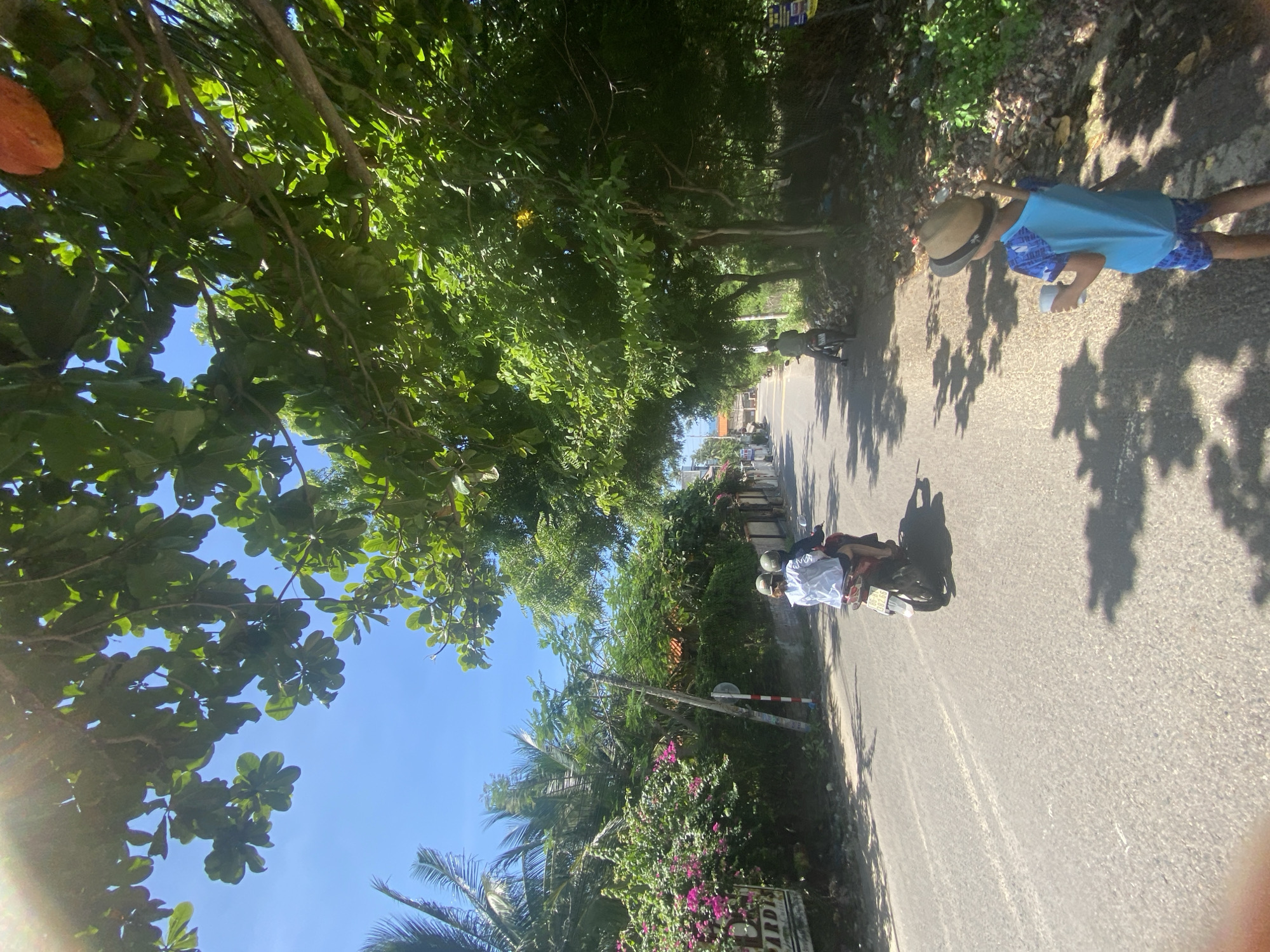 A sunny day in Mũi Né, Vietnam, shows a street scene with a paved road lined by trees on both sides. In the foreground, a young child wearing a blue shirt with a blue and white pattern and a straw hat walks away from the camera, holding a white cup. The child's shadow is cast on the road. Further down the road, two people ride a scooter, with the passenger wearing a white jacket and the driver a dark shirt and helmet. The passenger is looking forward. Another person on a scooter is visible further in the distance. Lush green trees with dark leaves and some pink flowers form a canopy over parts of the road, casting dappled shadows. Palm trees are visible to the left, and some buildings and fences line the right side of the road. A sign with red and white markings is present on a pole. The sky is a clear blue.