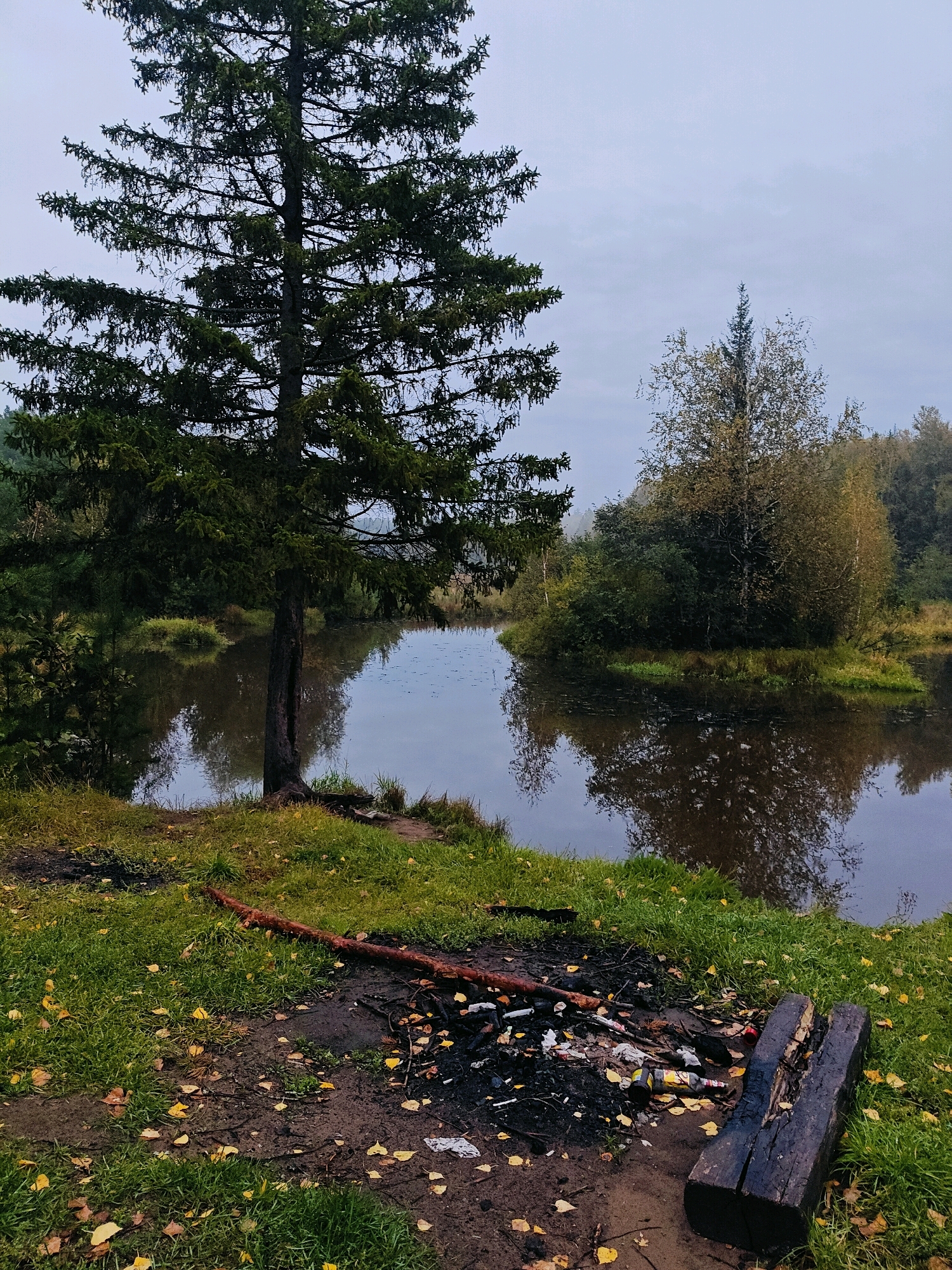The image shows a serene natural landscape, likely in Chaikovsky, Russia, featuring a tranquil body of water reflecting the overcast sky and surrounding trees. A large, mature evergreen tree stands prominently on the left bank, its dark green needles contrasting with the lighter foliage of deciduous trees on the opposite side. The ground in the foreground is covered with grass, fallen yellow leaves, and a fire pit. The fire pit contains remnants of ashes, burnt wood, and discarded items like plastic bottles and wrappers, indicating recent human activity. A thick, dark log serves as seating by the fire pit. The overall atmosphere is peaceful, with the natural elements dominating the scene.