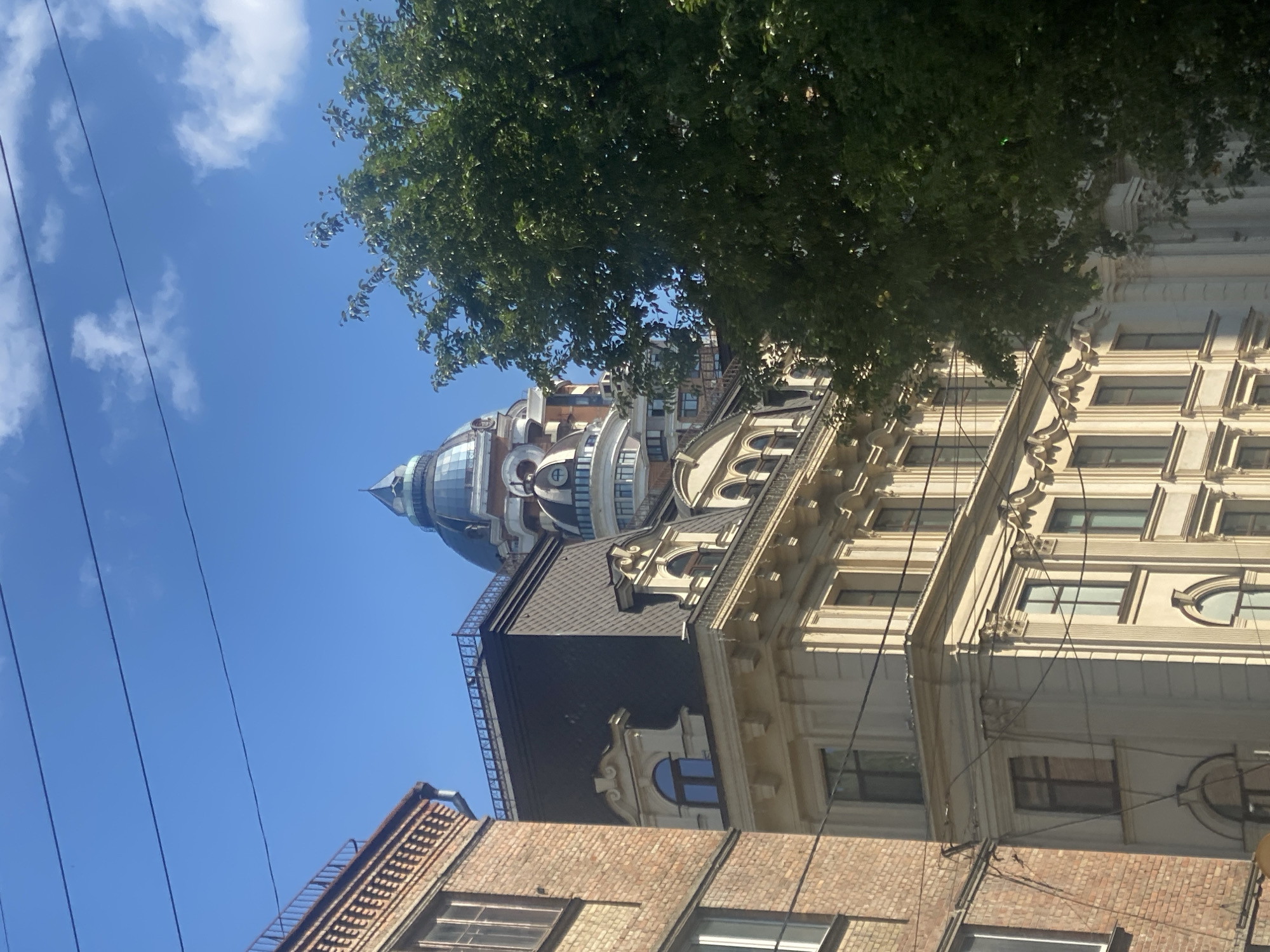 In a medium shot, a brick building on the left and a cream-colored building with ornate detailing in the center are captured. Behind these buildings, a much taller, modern building with a prominent glass dome is visible. A large, leafy green tree partially obscures the right side of the cream-colored building and the modern building. The sky above is a clear blue with a few wispy clouds, and multiple power lines crisscross the upper portion of the image. The scene is set in an urban environment, likely during daylight hours, given the bright lighting and shadows.