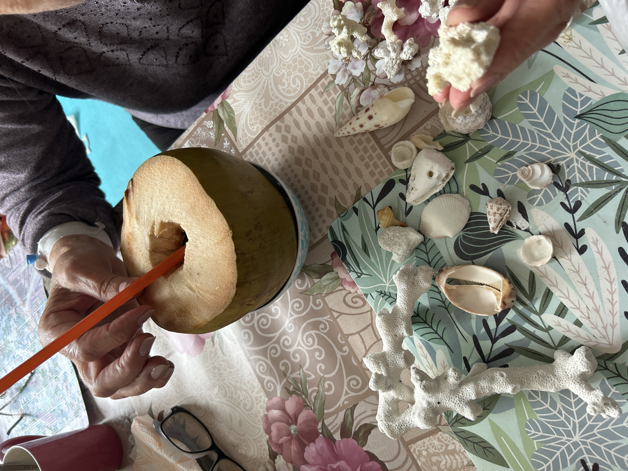 The image depicts a person sitting at a table. The table is covered with two different tablecloths: one with a beige floral pattern and another with a tropical leaf design. A coconut with a straw is on the table. Various seashells and pieces of white coral are scattered around the coconut and on the tablecloth. A pair of glasses and a mug are also visible on the table. The person is holding a piece of coral in their right hand and inserting a straw into the coconut with their left hand. The location is unknown.