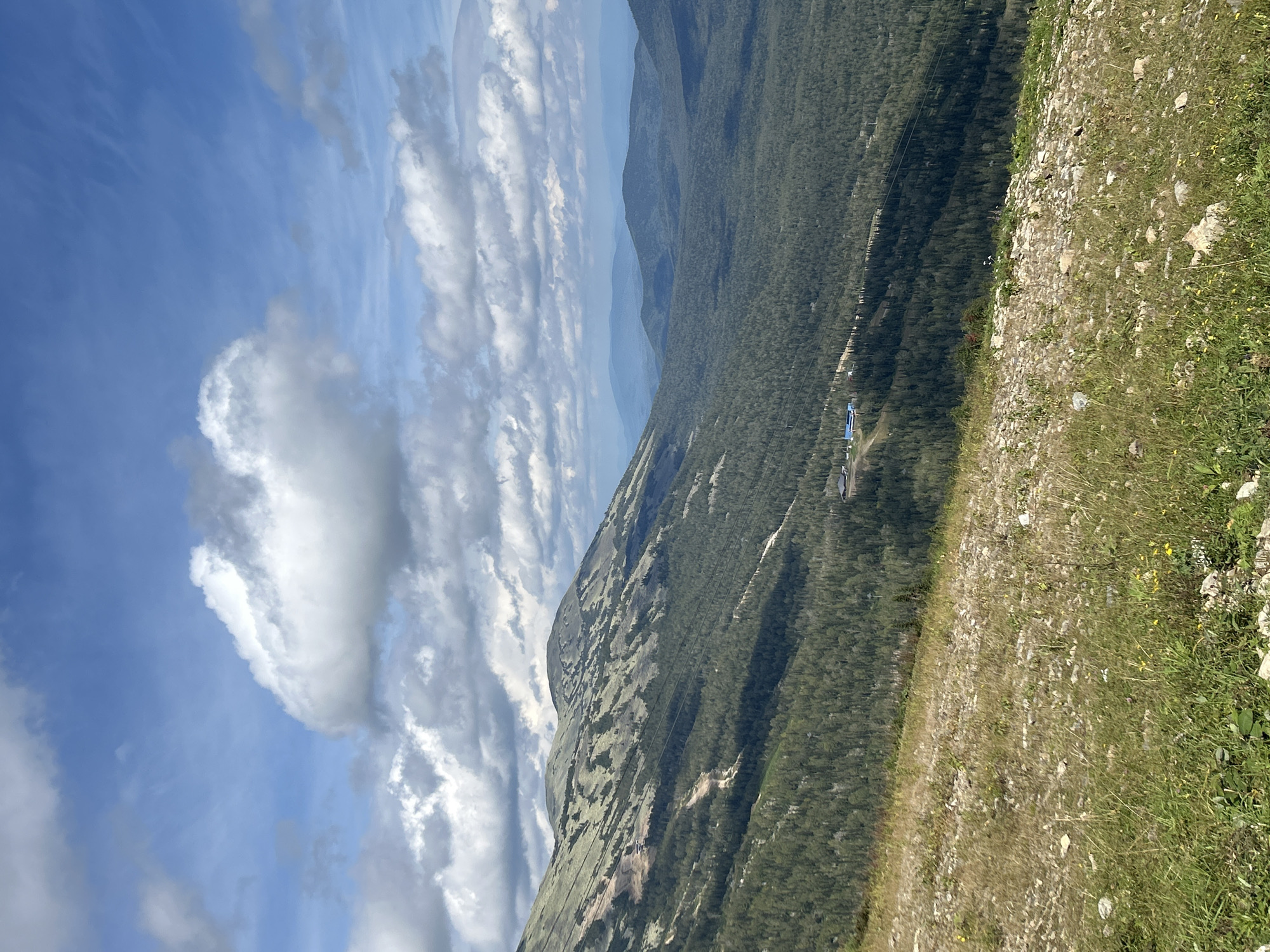A vast, panoramic mountain landscape under a bright blue sky with scattered white clouds. The foreground features a rocky, grassy slope dotted with small yellow wildflowers. In the mid-ground, a dense, dark green coniferous forest covers the mountainside. A ski resort infrastructure, including buildings and ski lifts, is visible within the treeline, indicating the location is Sheregesh, Russia. The background displays rolling, misty mountain ranges fading into the distance, creating a sense of depth. The lighting suggests it is daytime, likely late morning or early afternoon.