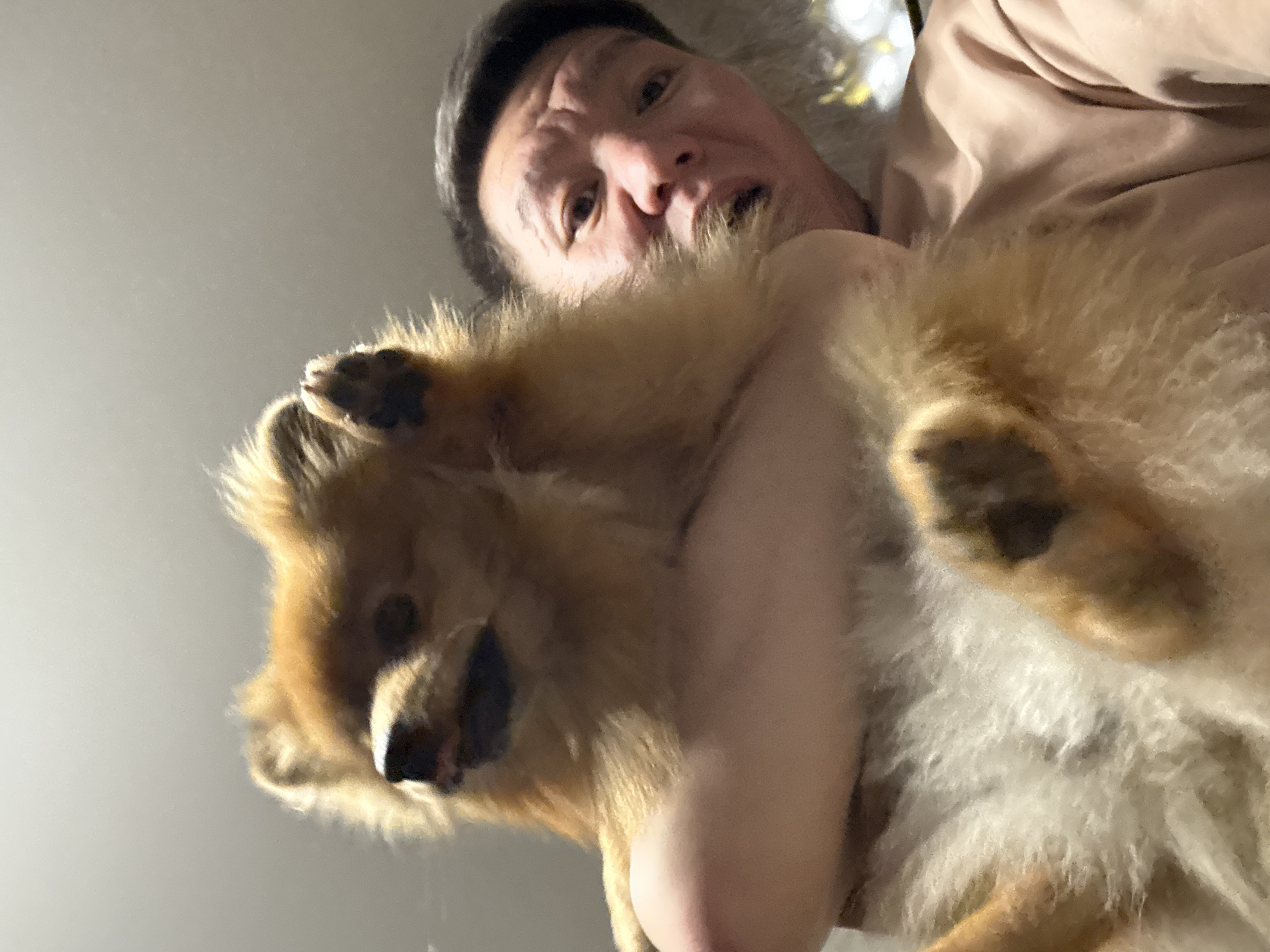 A low-angle, close-up, medium shot captures a person holding a small, fluffy, tan Pomeranian dog. The person, with short dark hair and a light-colored shirt, has their mouth open in a surprised expression, with eyebrows raised and eyes wide. The dog is positioned in front of the person's face, obscuring much of their features. The dog's mouth is also open, and its tongue is visible. The dog's front paws are raised, with one paw resting on the person's arm. The background is a plain, light-colored wall. The image appears to be a selfie, taken from a low perspective looking upwards. There are no discernible elements to indicate the location in the city of Khimki, Russia.