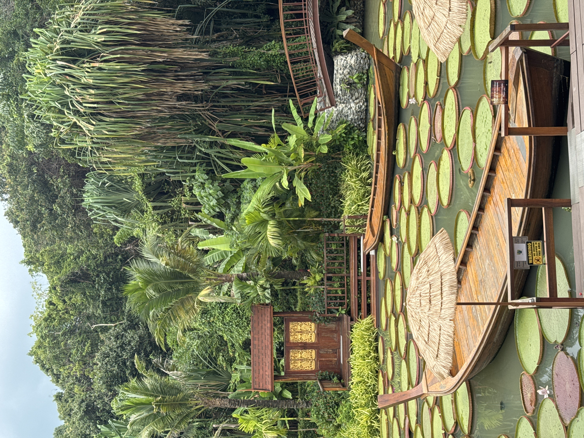 The image depicts a pond in Ban Khlong Khian, Thailand, filled with giant water lilies. Two wooden boats are positioned amongst the lilies. One boat has a thatched roof. A structure with a red tile roof and ornate wooden doors sits nearby, partially obscured by vegetation. Dense tropical foliage, including palm trees and other greenery, surrounds the pond. A wooden walkway is also present.