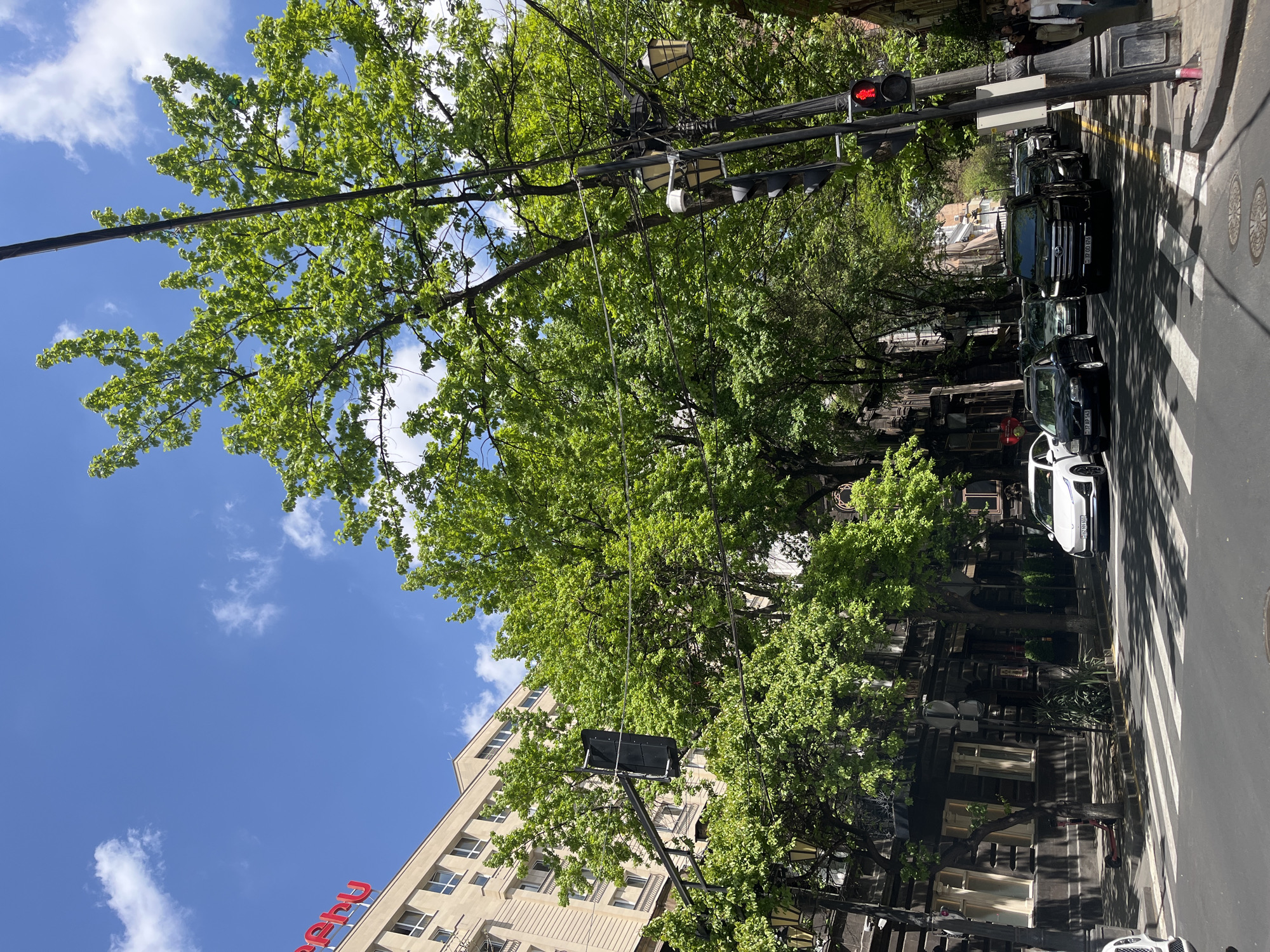 This media file captures a sunny urban street scene in Yerevan, Armenia, looking down a street with a clear blue sky overhead. The image appears to have been rotated 90 degrees clockwise; when re-oriented, the sky occupies the upper portion, and the street runs from the foreground towards the background on the right.
The top of the frame features a bright blue sky dotted with scattered white cumulus clouds, partially obscured by the lush green canopy of numerous deciduous trees, suggesting late spring or summer. Overhead, a complex network of utility poles and wires crisscrosses the sky, supporting various street furniture, including traffic lights (one showing red) and streetlights with bowl-shaped shades.
On the left side of the street, a modern, light-colored multi-story building with numerous windows is visible. Large red letters, possibly spelling "PRRU" or similar, are prominently displayed on its rooftop facade. On the right side, partially hidden by the trees, are older, darker buildings featuring traditional architecture.
The paved street in the foreground includes a distinct zebra crossing for pedestrians. Several vehicles are parked along the right side of the road, including a white car in the immediate foreground, followed by an array of dark SUVs and sedans. Visible Armenian license plates include "33 DD 070" and "30 DP 043". A few blurred figures of people can be observed walking on the sidewalk behind the parked cars, near a traffic light pole.
The strong sunlight and clear skies indicate that the photograph was taken during mid-day or early afternoon on a bright, pleasant day.
