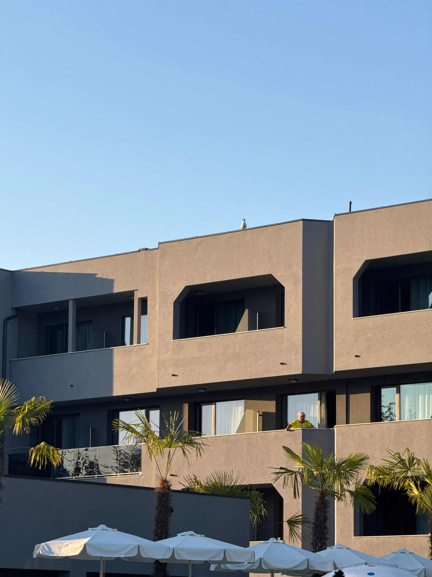 The image depicts a modern, multi-story building with a grey facade, likely a hotel or resort, under a clear blue sky. The architecture features strong geometric lines with recessed balconies and dark-framed windows. Several palm trees are visible in the foreground, suggesting a warm climate and possibly a coastal location. On one of the balconies, a person wearing a bright yellow shirt leans over the railing, looking outwards. In the lower portion of the image, several white beach umbrellas are set up, hinting at an outdoor recreational area. A single seagull is perched on the rooftop of the building. The lighting suggests it is either early morning or late afternoon, with the sun casting long shadows. The scene appears to be located in Kiten, Bulgaria, a Black Sea coastal town known for its resorts and beaches.