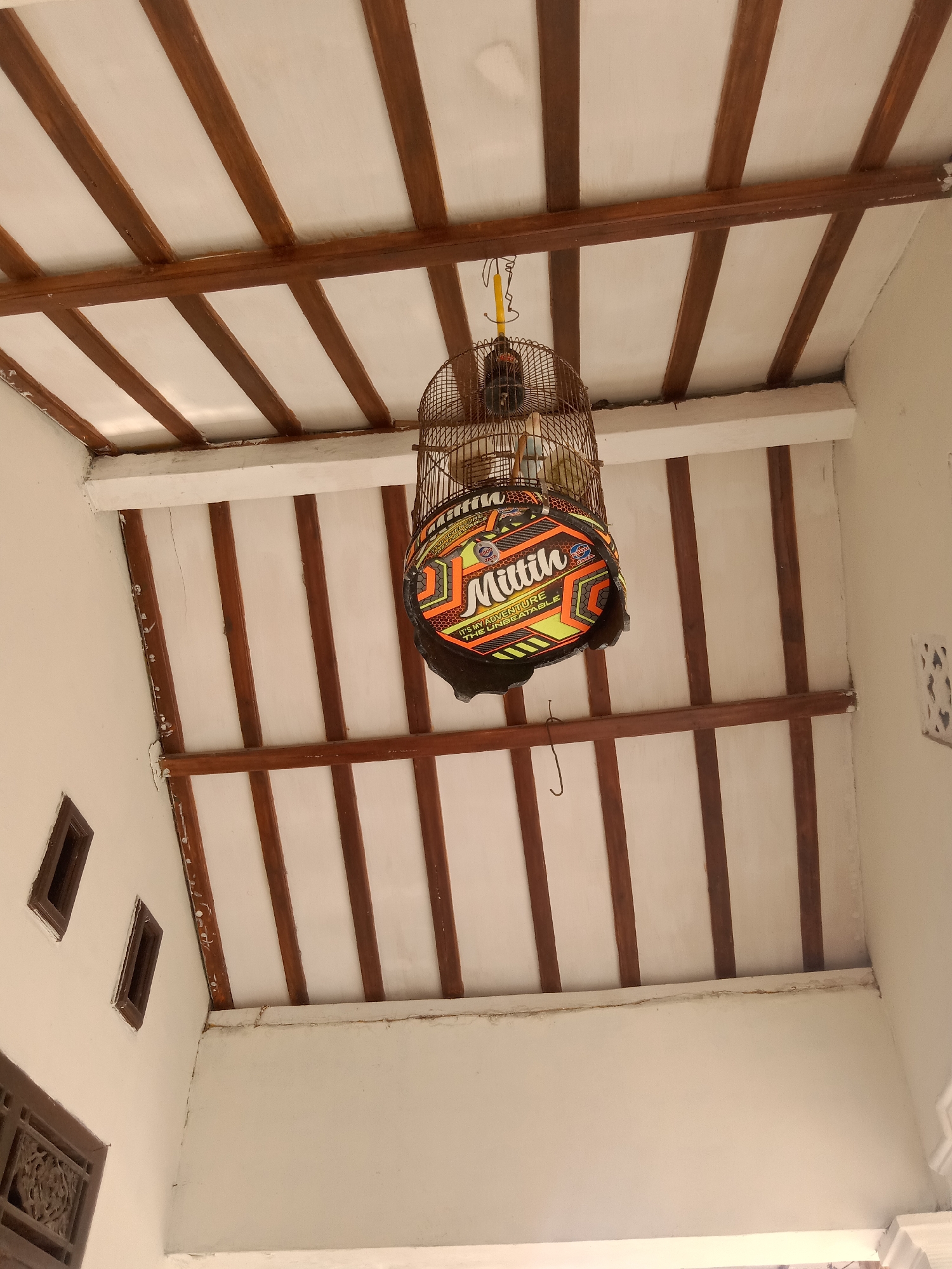 A bird cage hangs from the ceiling of an outdoor patio or room with a white, planked ceiling and exposed wooden beams. The cage is circular with a decorative cover featuring the word "Miittih" in large letters, surrounded by geometric patterns in yellow, orange, and black. The bird cage is suspended by a wire hook. To the left, a wall with two small, rectangular vents is visible. Another decorative vent is seen near the bottom left corner. The lighting suggests it is daytime, and the environment appears to be a residential area. The image does not contain specific geographical markers to pinpoint it to Stiaji, Indonesia, but the architectural style and decorative elements may be indicative of Indonesian design.