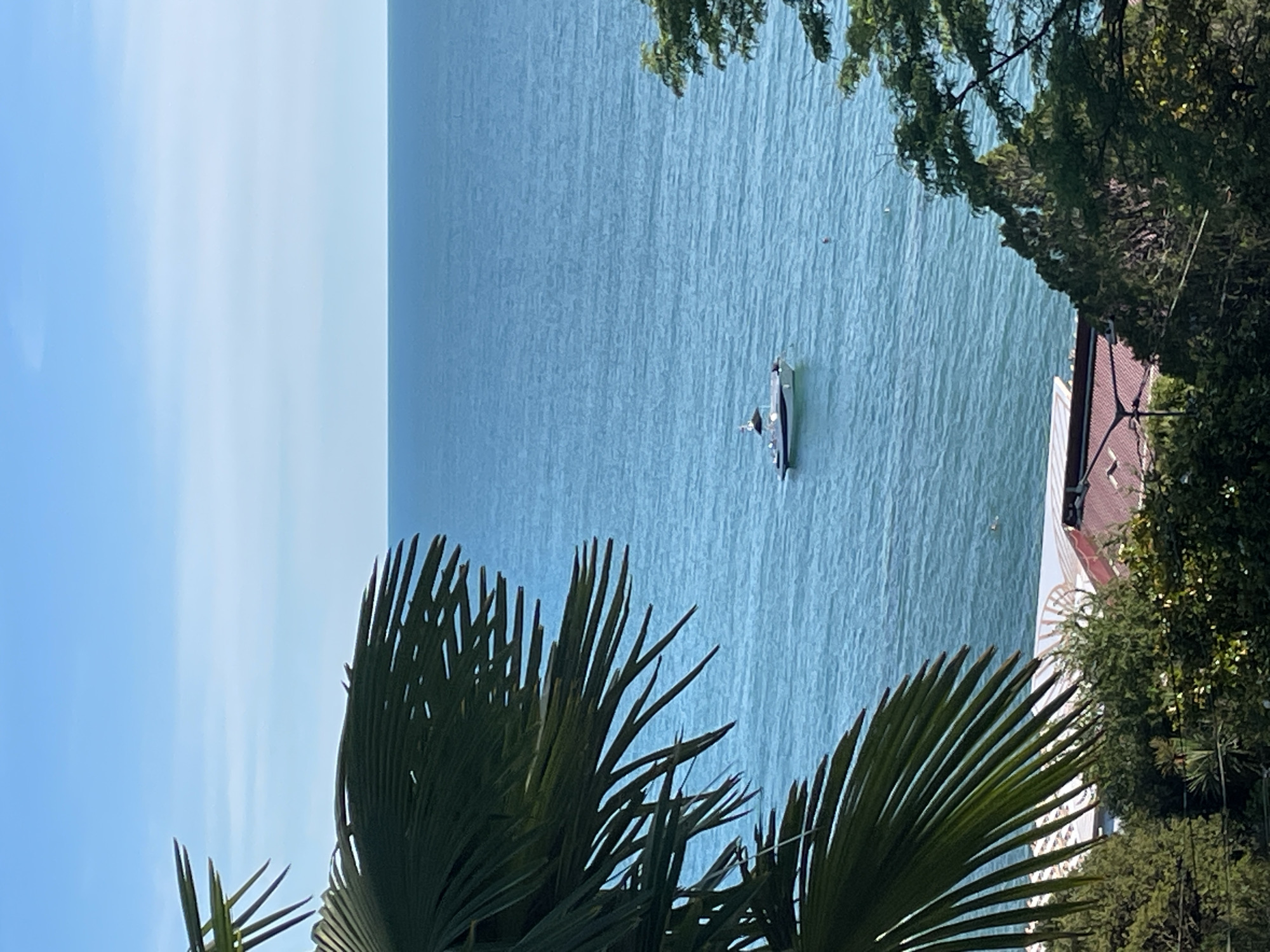 A high-angle medium shot captures a tranquil scene on the Black Sea in Sochi, Russia. In the distance, a white motor yacht with a dark canopy is anchored on the clear blue water. The horizon is sharply defined where the sea meets a pale blue sky. In the foreground, lush green palm fronds frame the view on the left, and a dense canopy of green trees partially obscures the right side. Below the trees, glimpses of red-tiled rooftops of buildings are visible, suggesting the presence of a coastal town. The water is calm, with subtle ripples indicating a gentle breeze. There are no people visible in the image.
